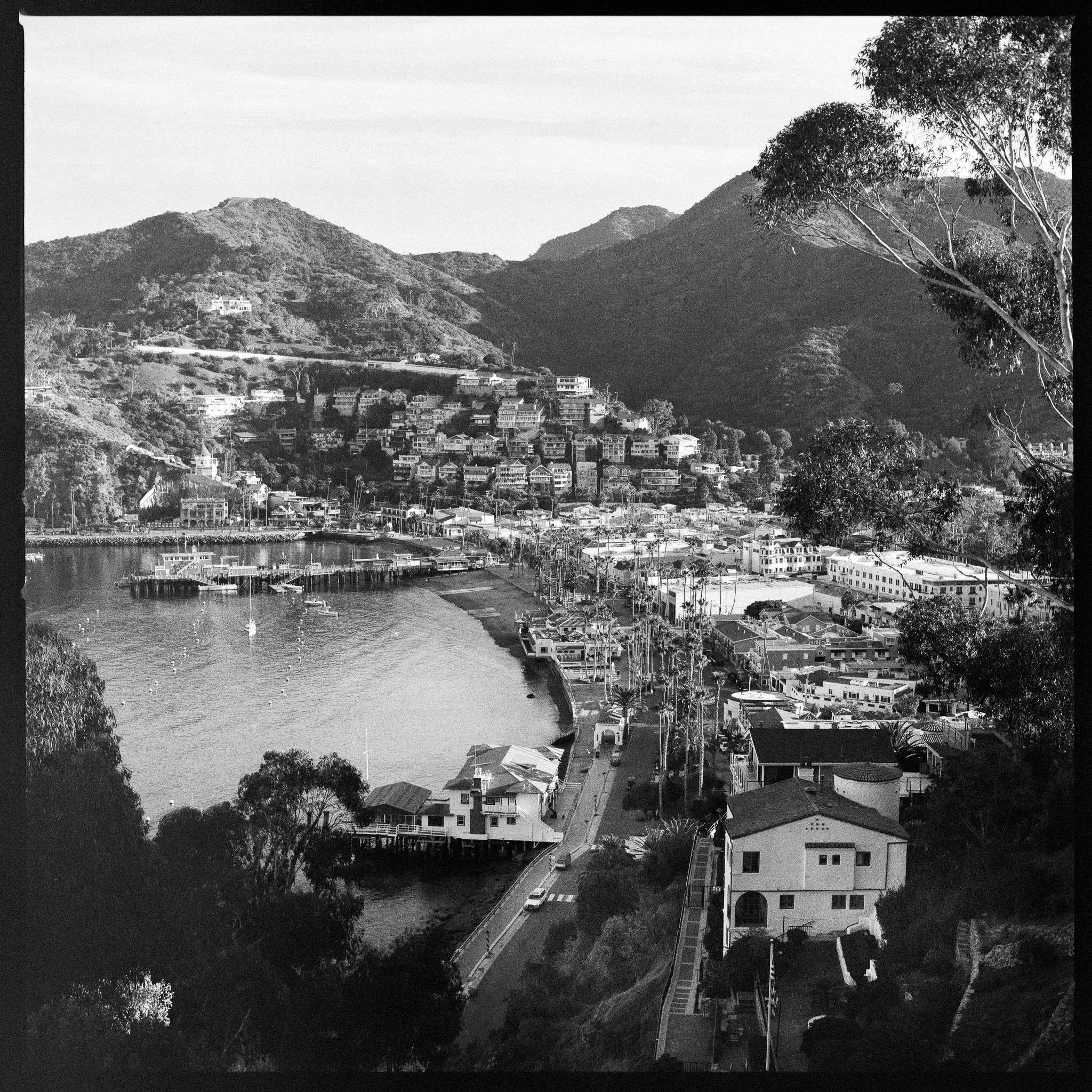 catalina copy.jpg