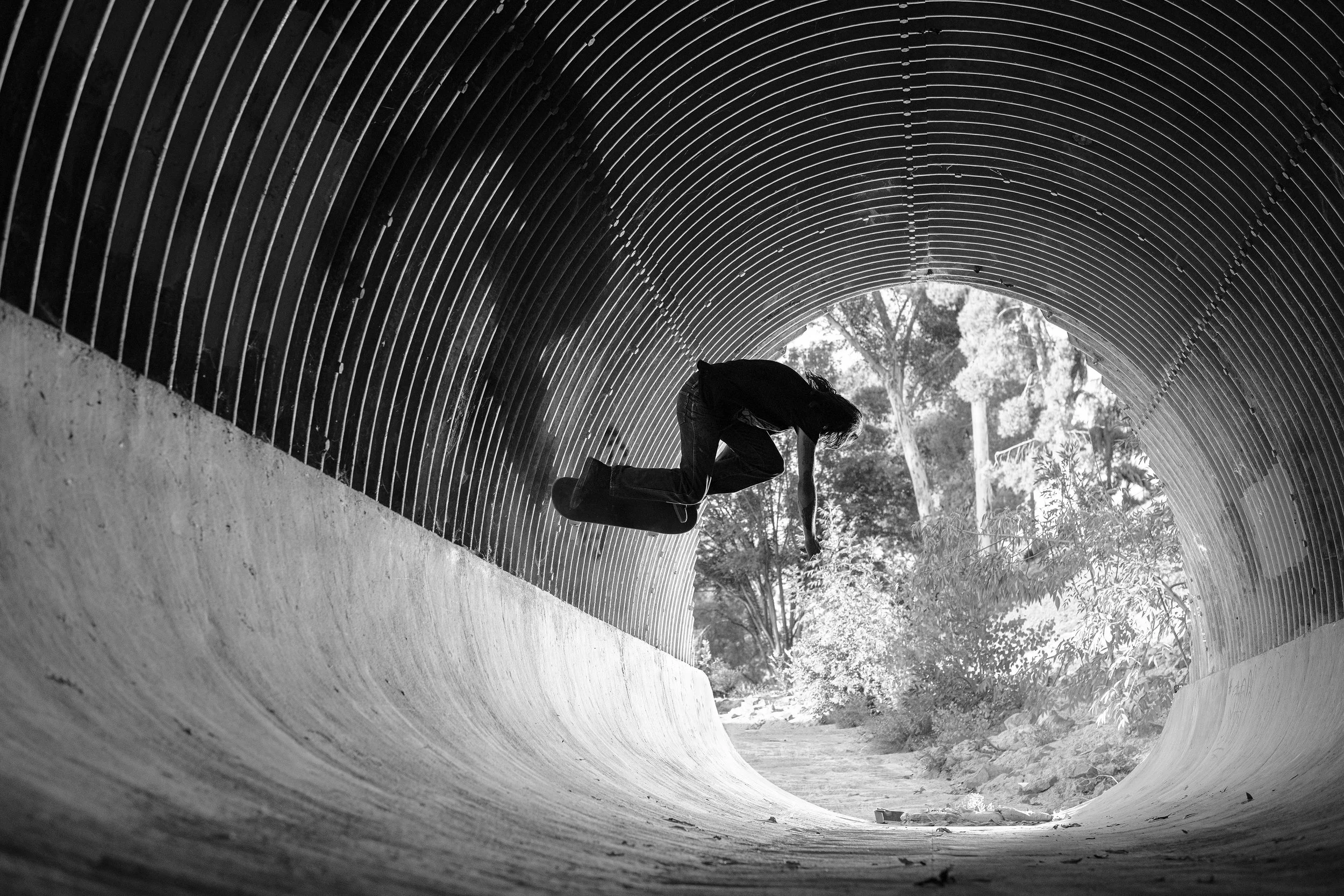 tail-scrape-bw-final copy 2.jpg