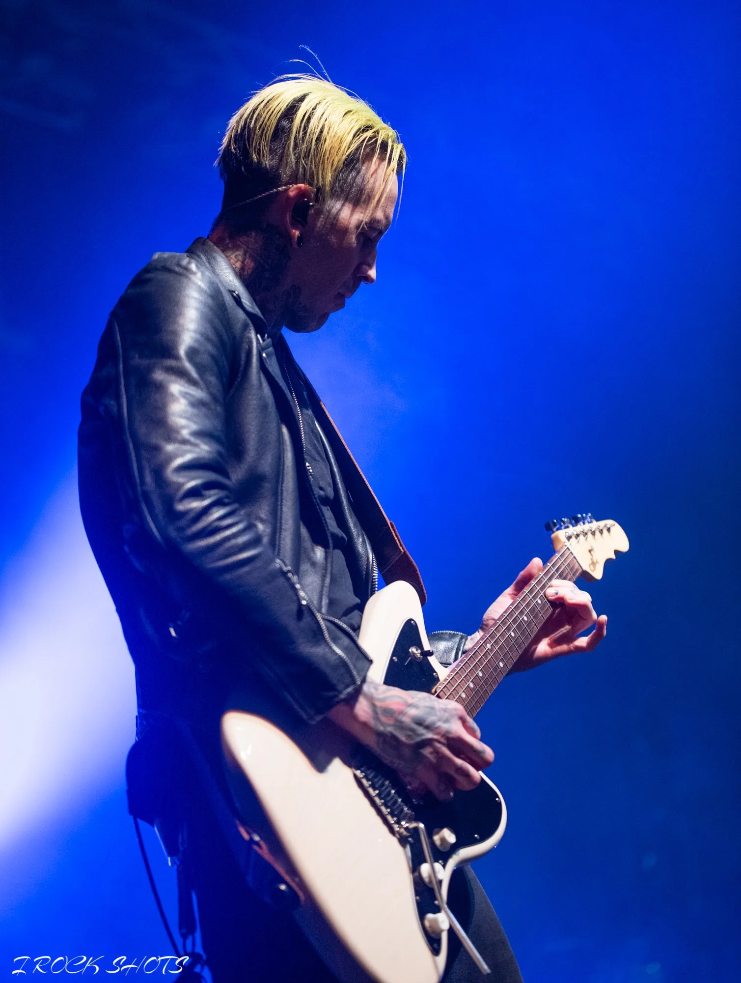 CMP_6579.jpg