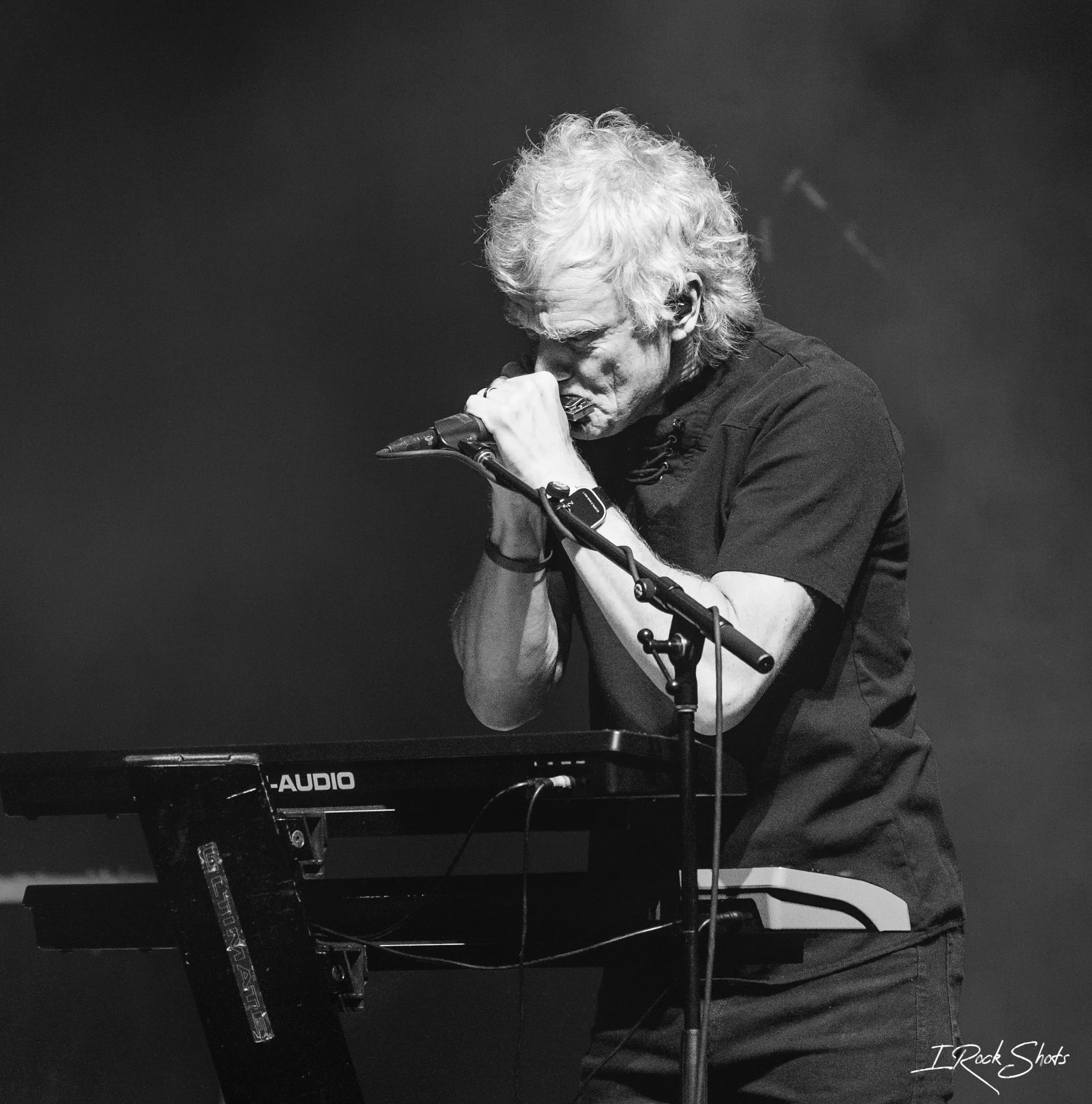 DSC_4553.jpg