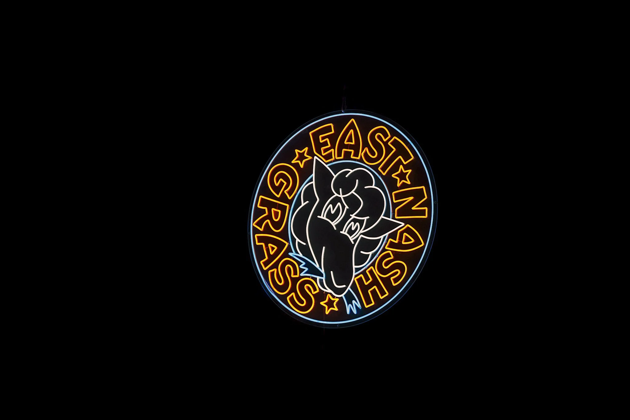 East Nash Grass 3/7/25 concert