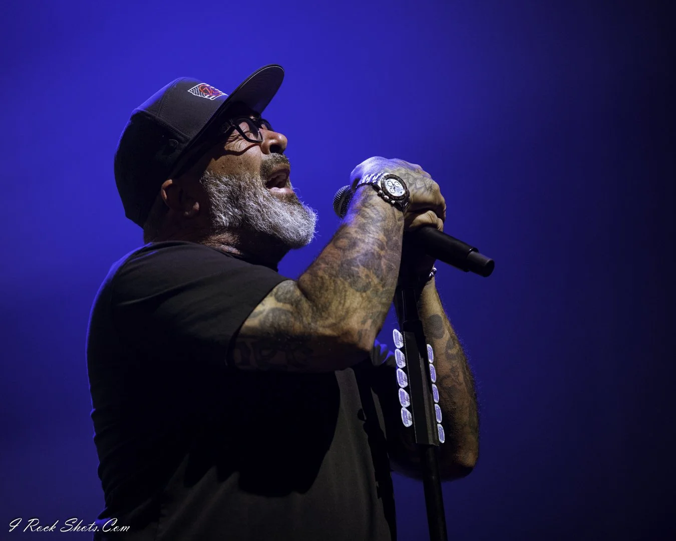 Staind by I Rock Shots, DSC_1150.jpg, photo 3