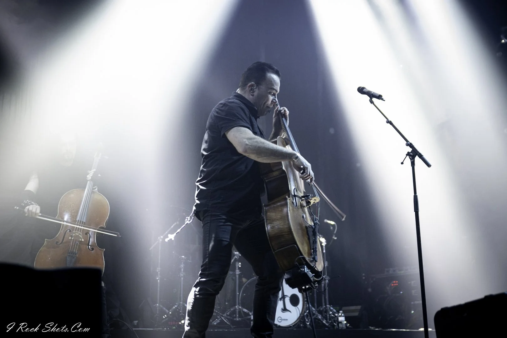 Halestorm by I Rock Shots, DSC_0253.jpg, photo 9