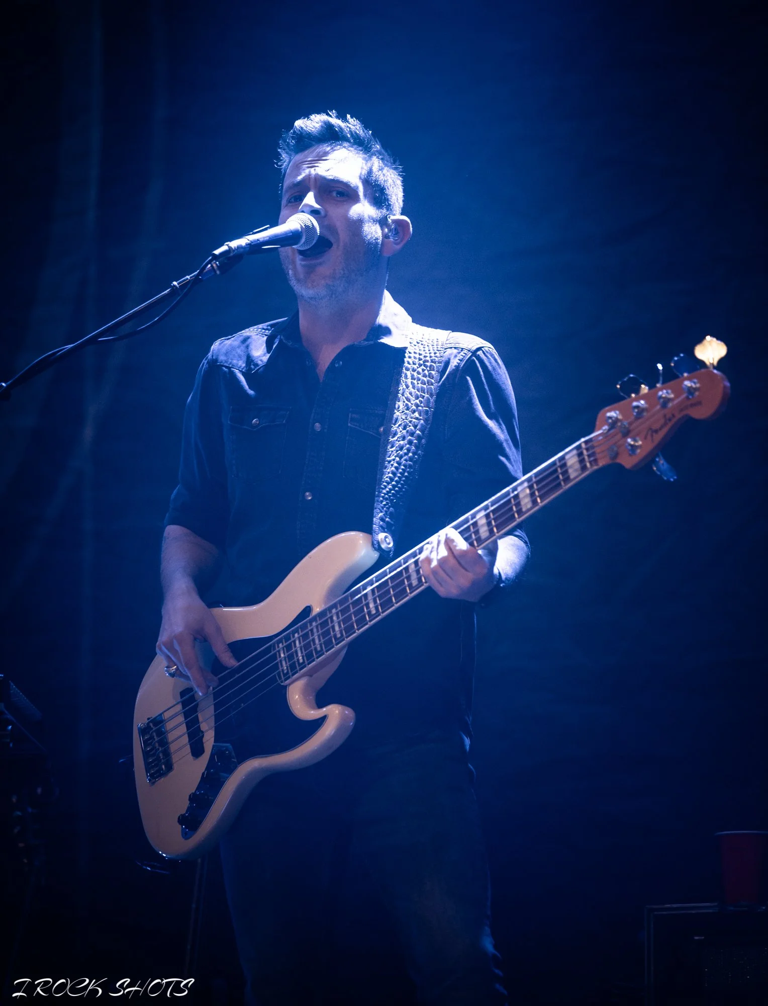 CMP_6559.jpg
