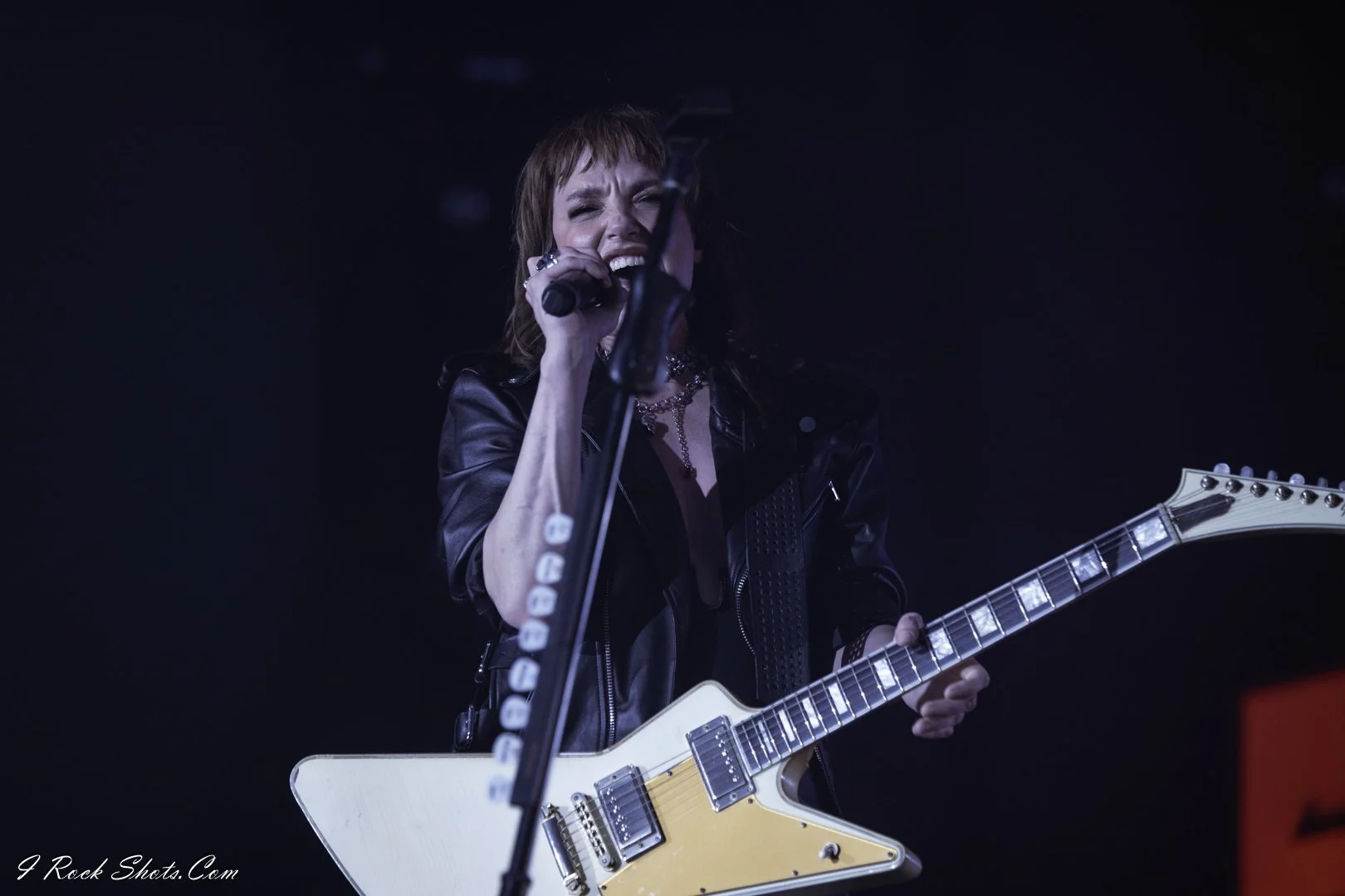 Halestorm by I Rock Shots, DSC_1083.jpg, photo 107