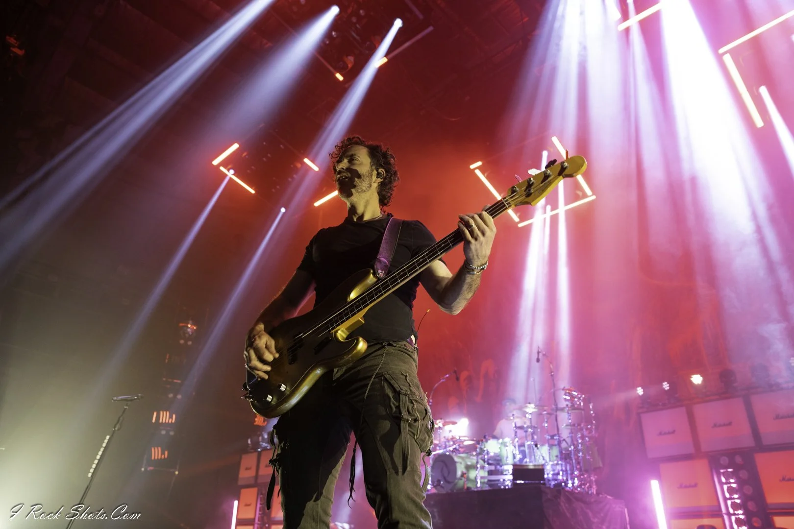 Halestorm by I Rock Shots, DSC_0776.jpg, photo 67