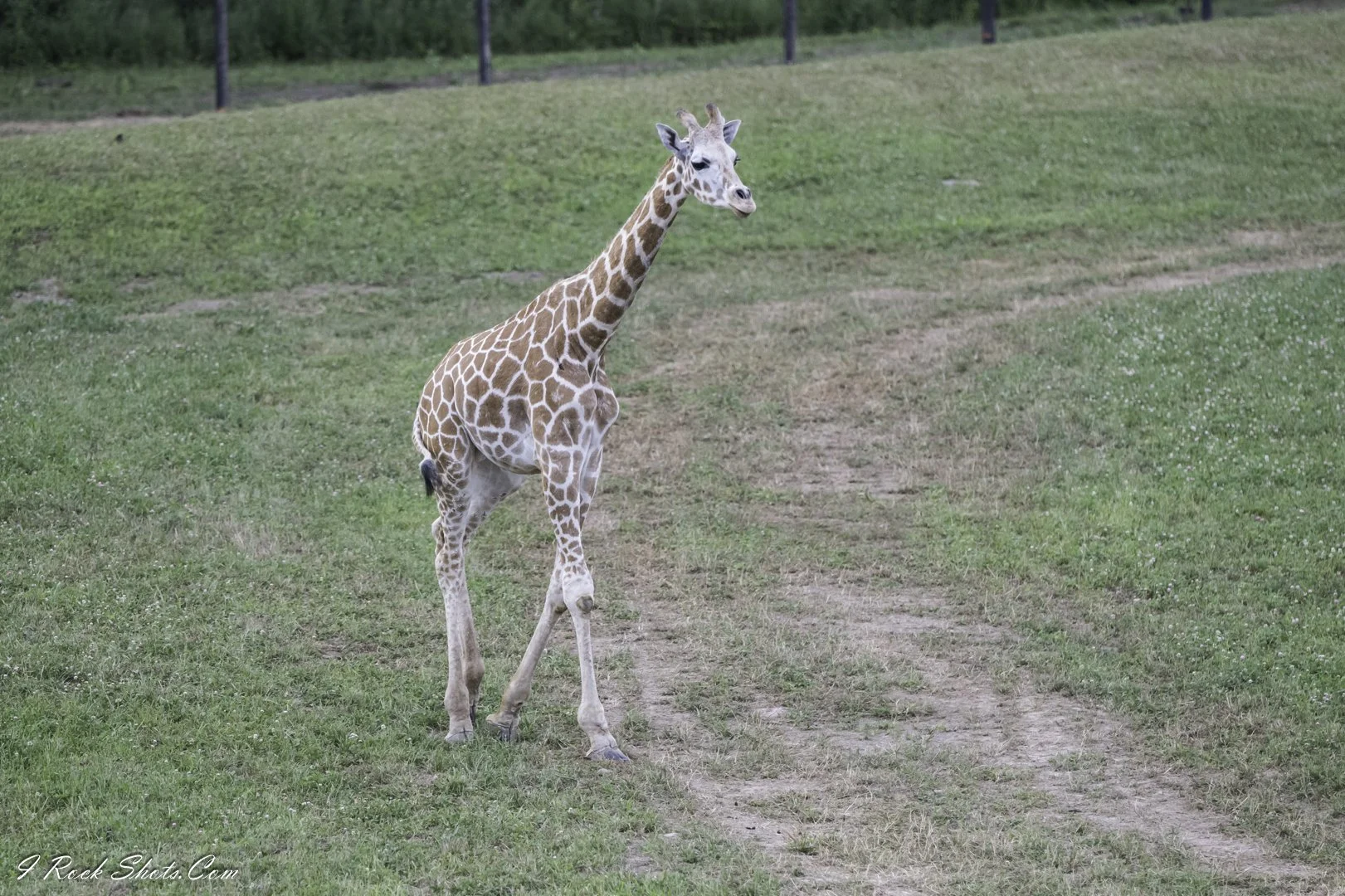 DSC_8846.jpg