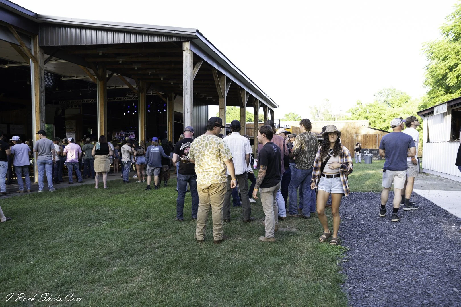Muscadine Bloodline by I Rock Shots, DSC_8645.jpg, photo 9