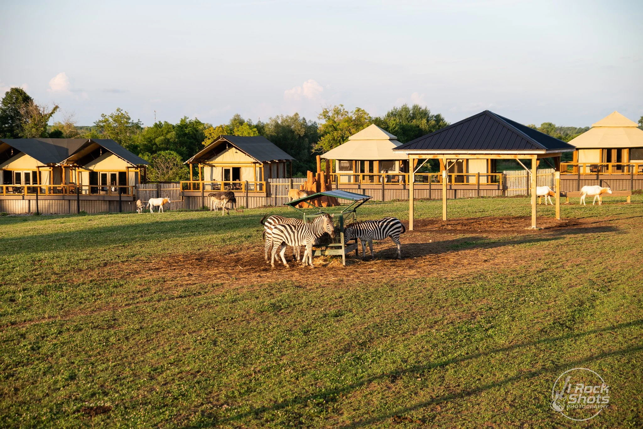 DSC_7574.jpg