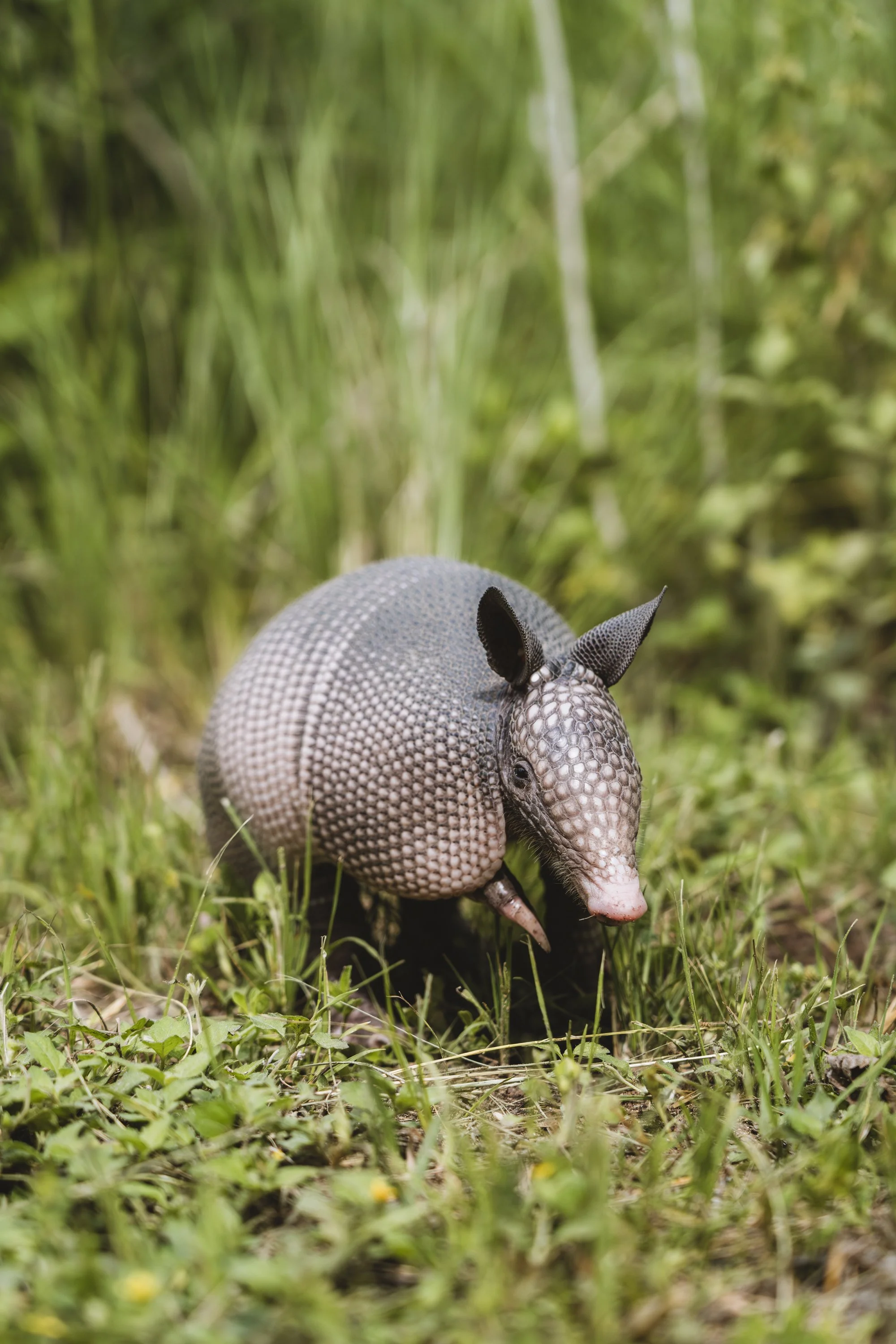 Ortiz, Michael-0502-2.jpg