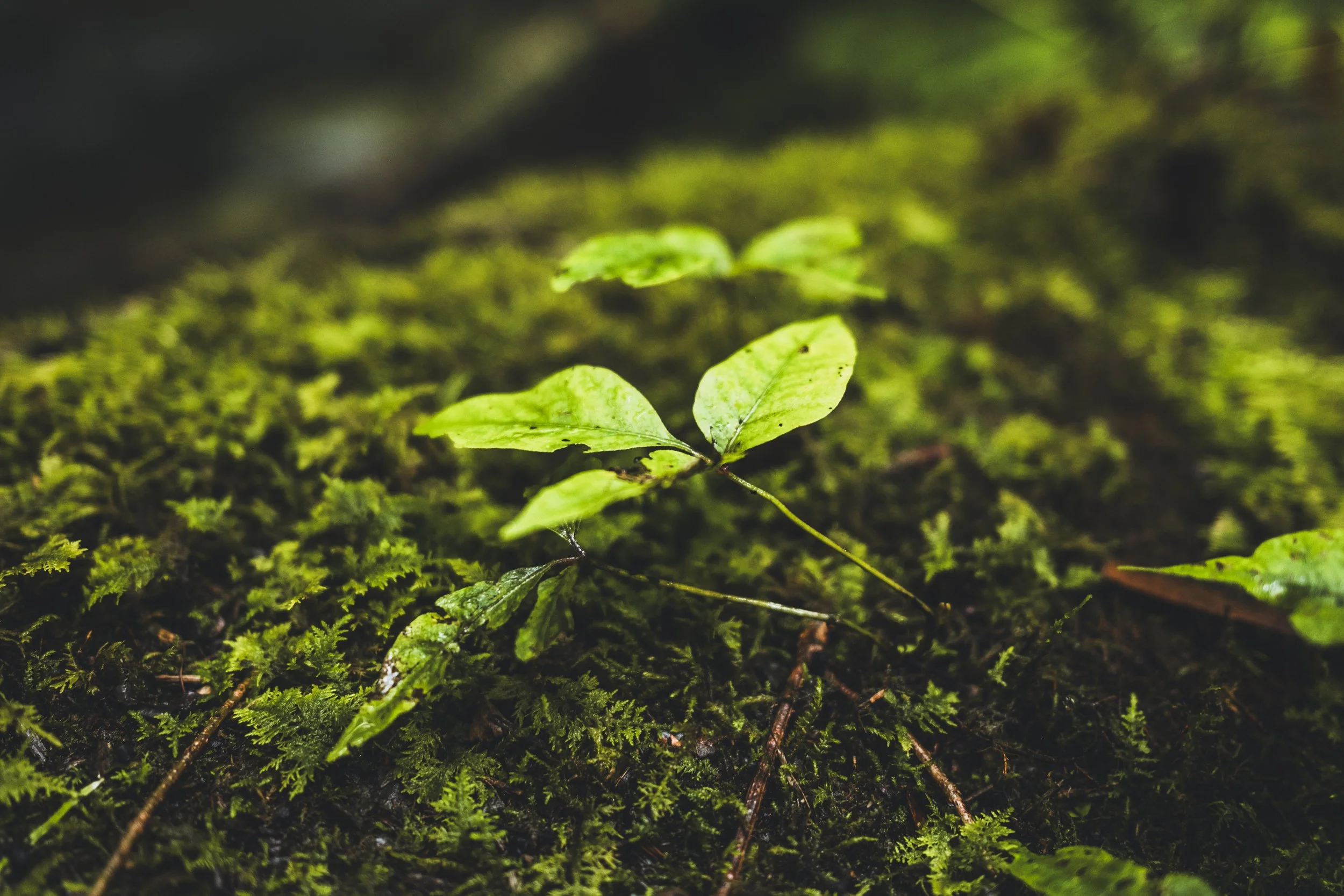 Ortiz, Michael-4875.jpg