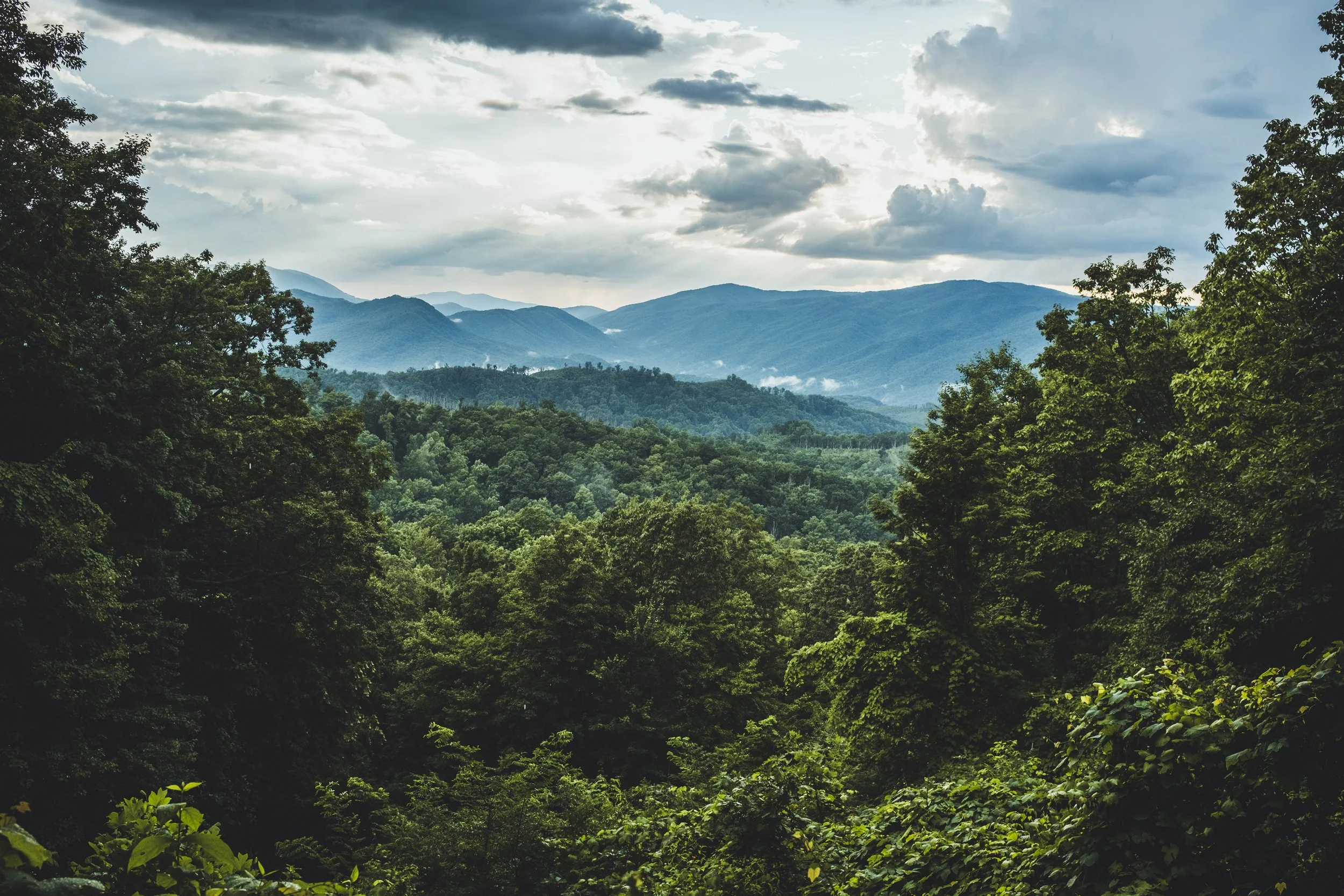 Ortiz, Michael-4802.jpg