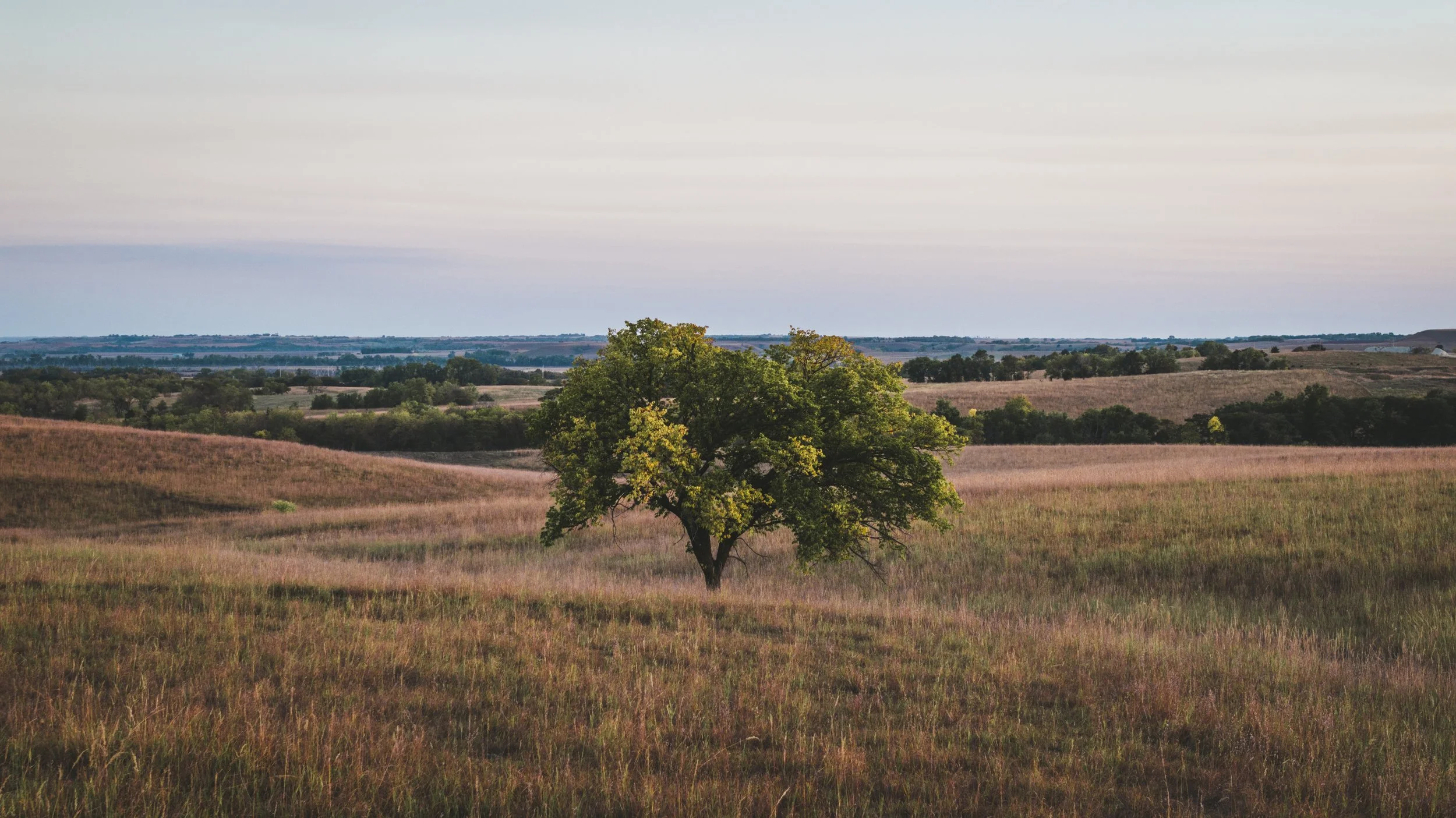 Ortiz, Michael--3.jpg