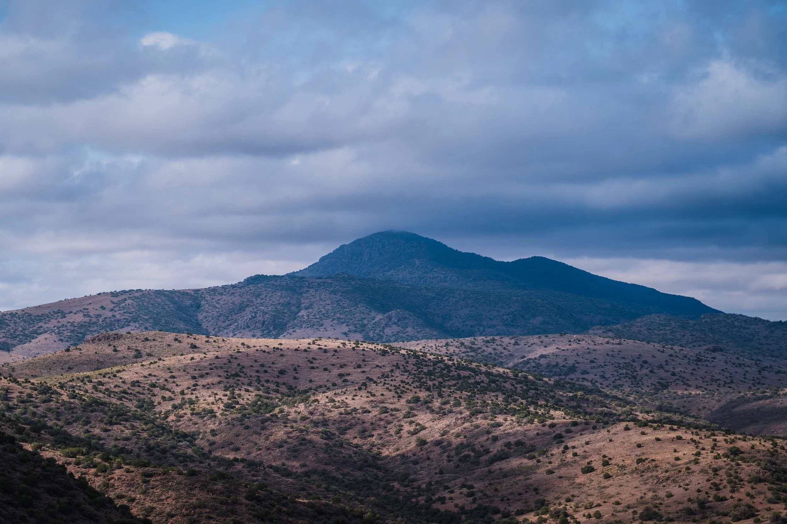 Ortiz, Michael-04931.jpg