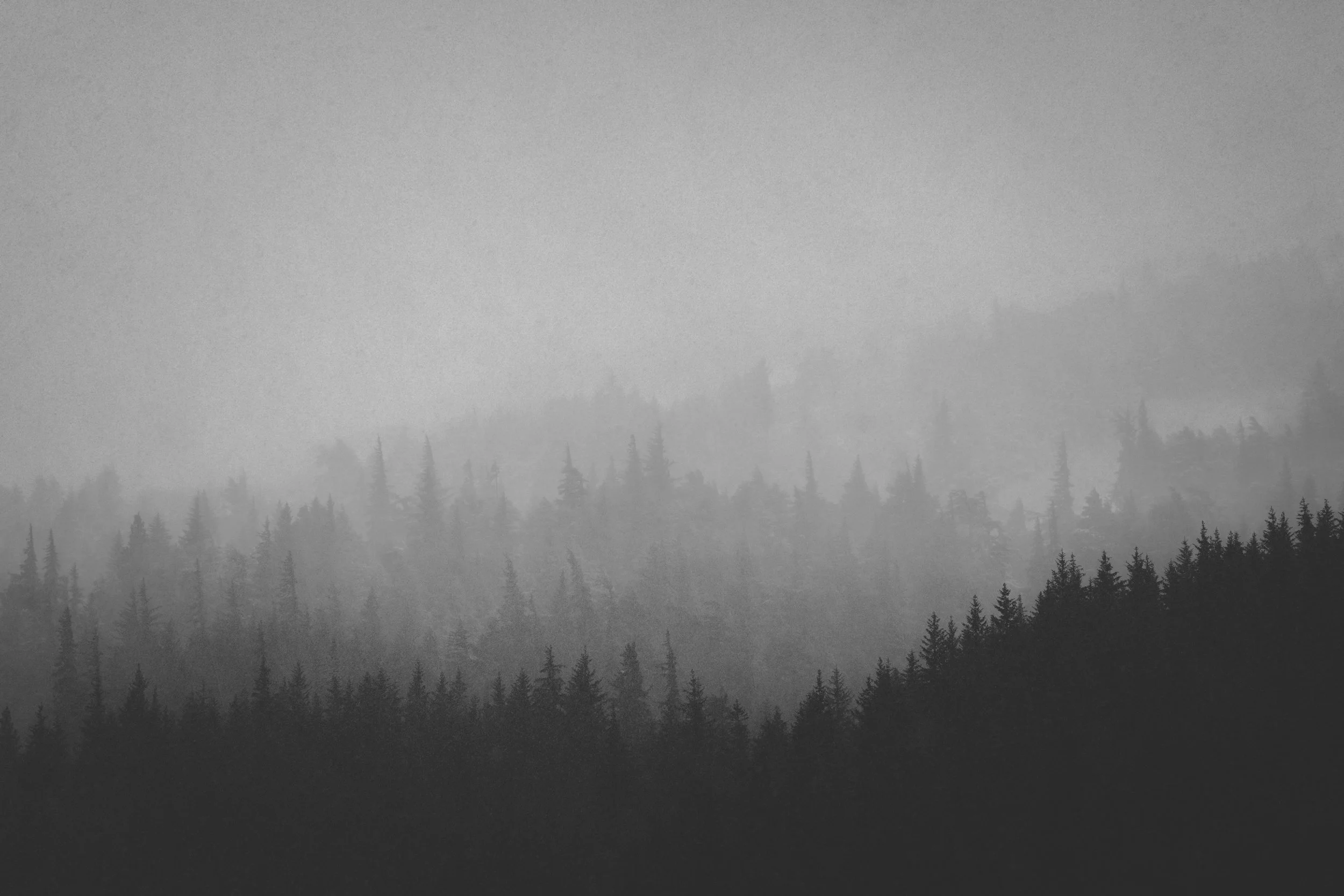 Ortiz, Michael-08474.jpg