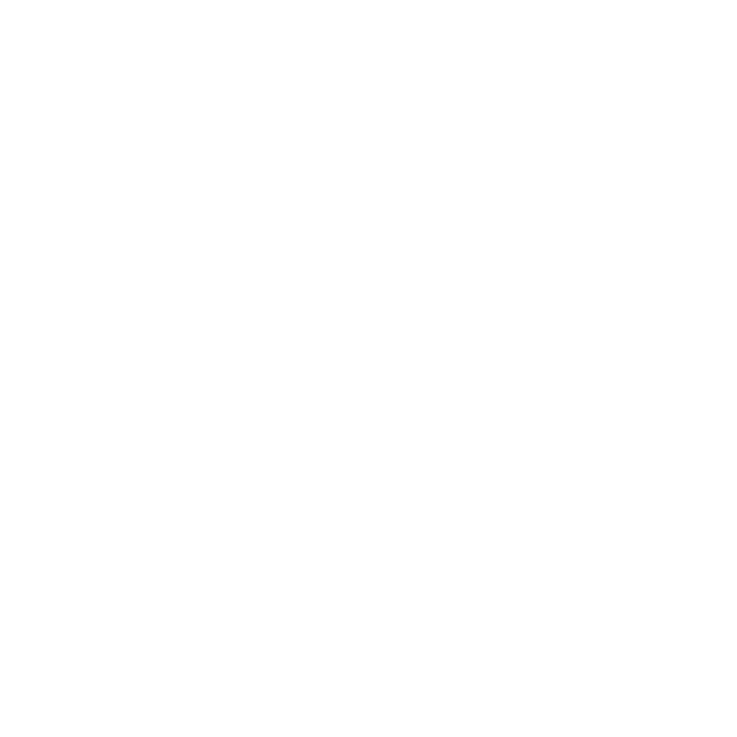 11 The Rock.png