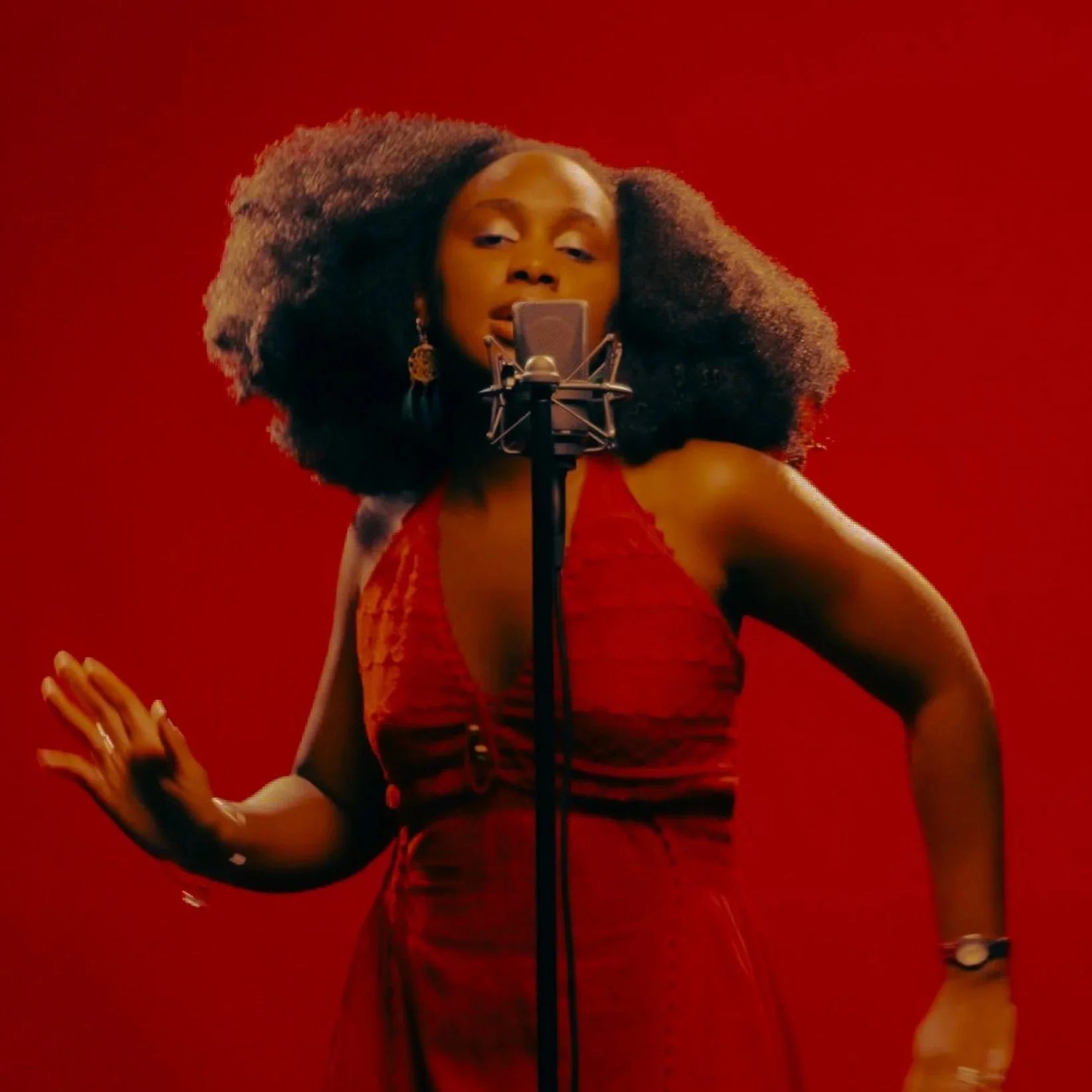 Pan Tèrra: Live in LA