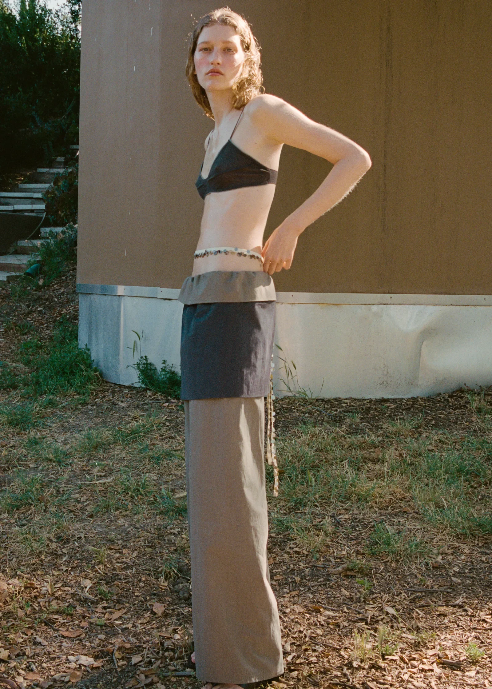 mango shoot 5.webp
