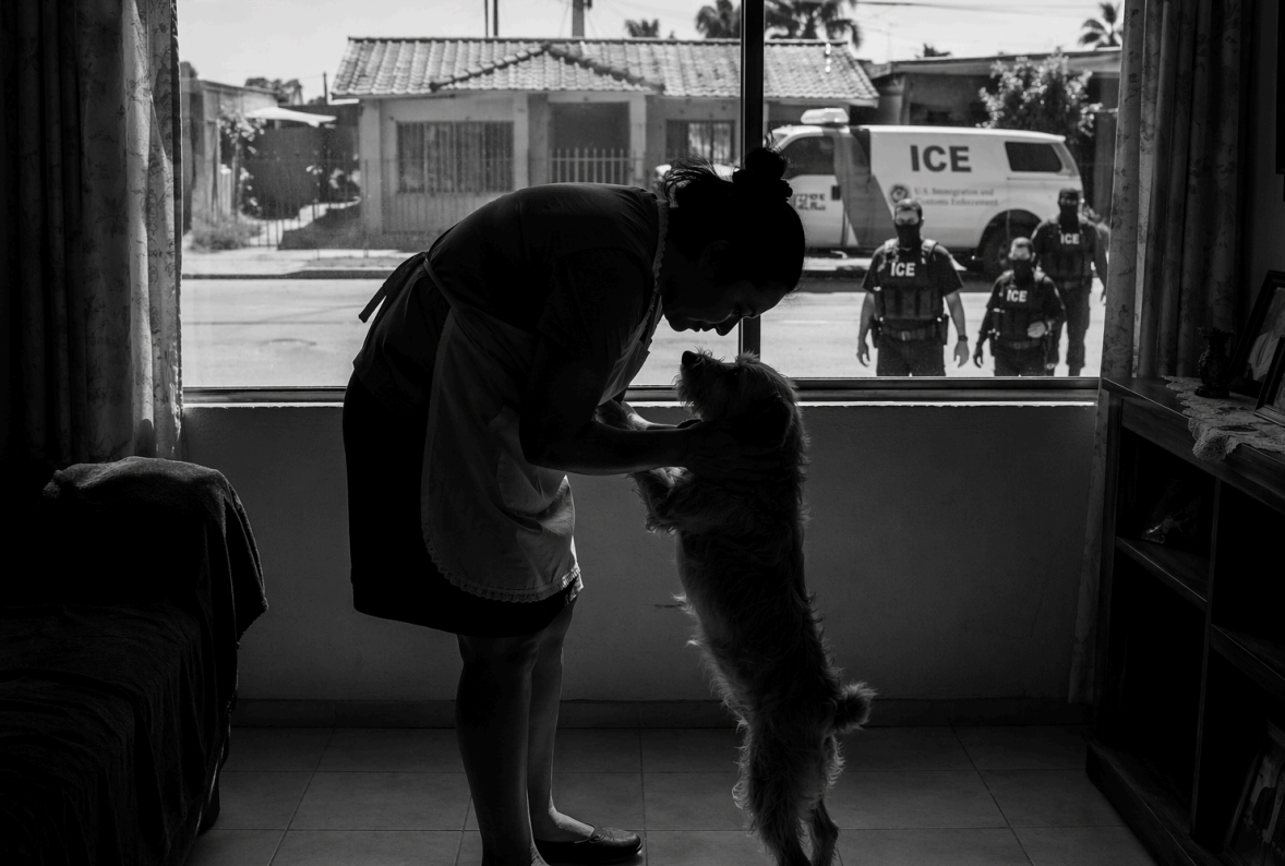 Pets are collateral victims of ICE enforcement