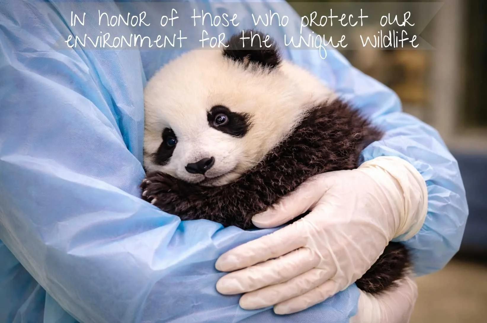 In honor of those who protect our environment for the unique wildlife.