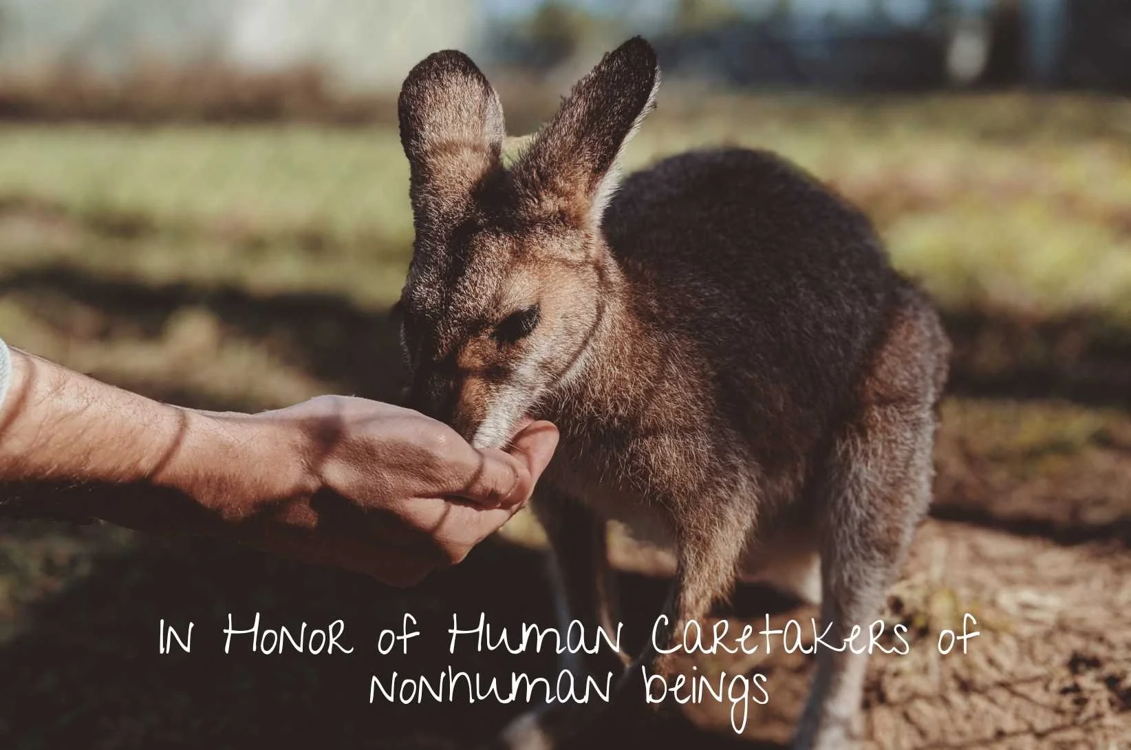 In honor of all humans who work tirelessly in support and protection of nonhumans everywhere.