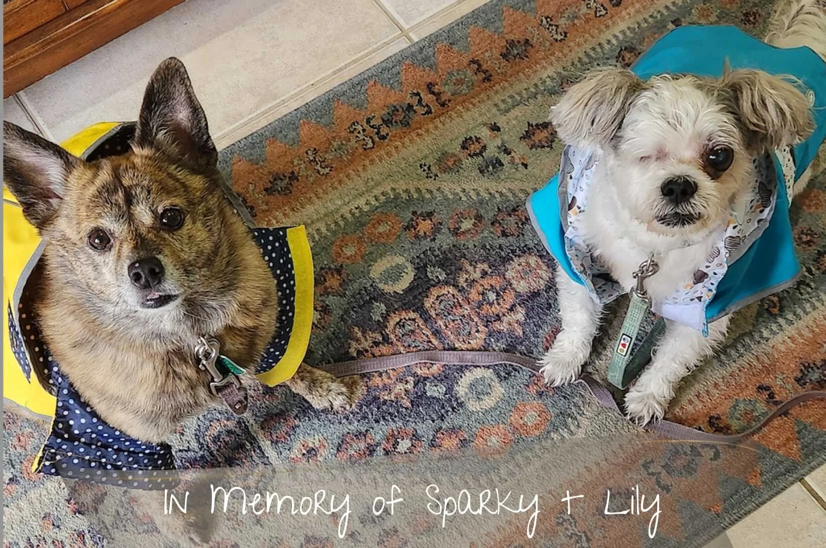 Forever in our hearts!