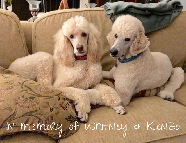 In Loving Memory of Whitney and Kenzo.