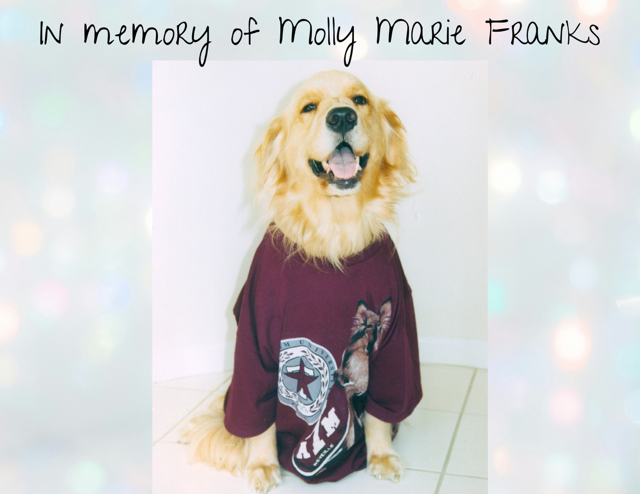 In loving memory of Molly Marie Franks, who brought years of joy to her human siblings and parents.