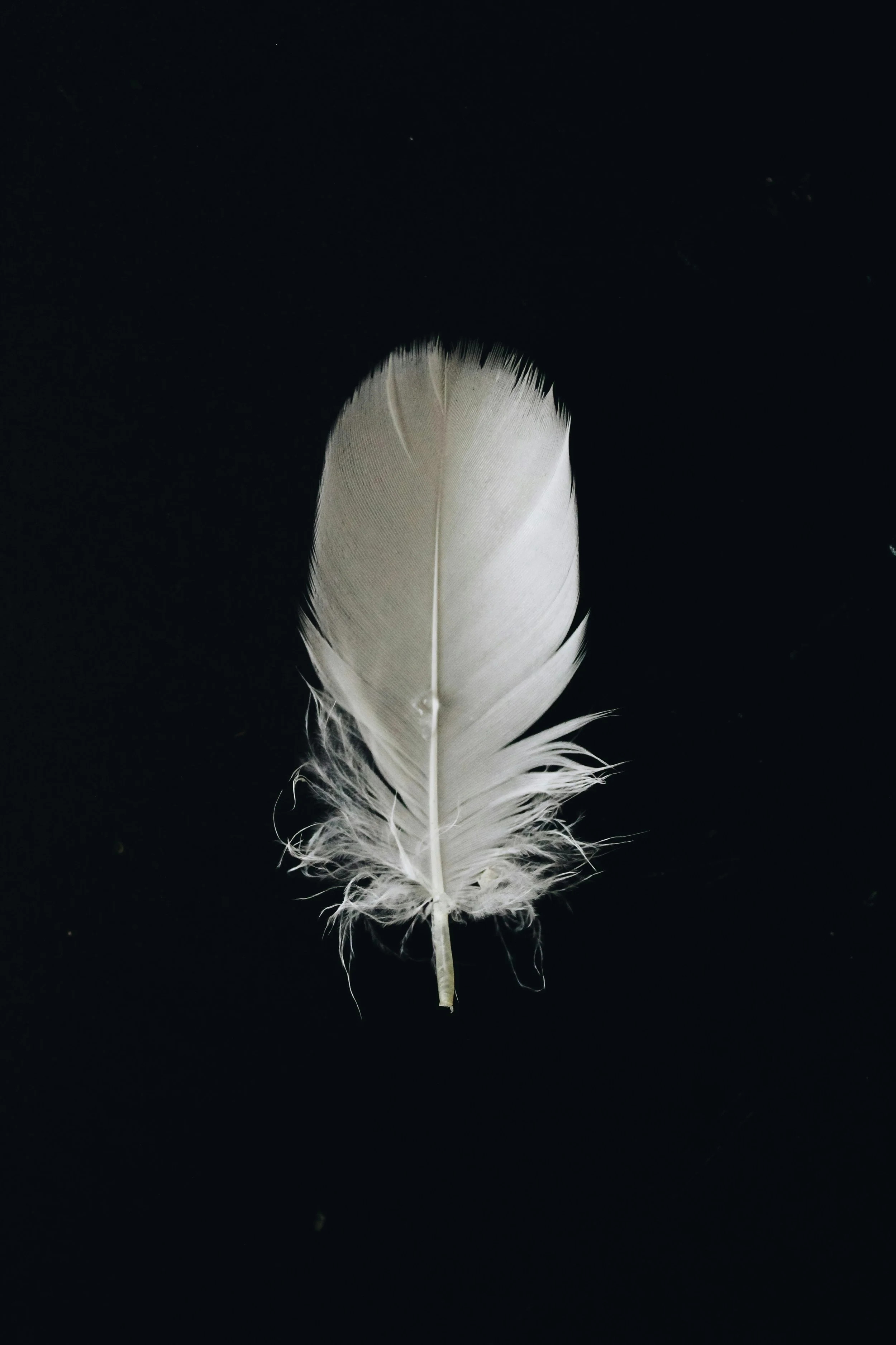 Group Mediumship In-Person SINGLE
