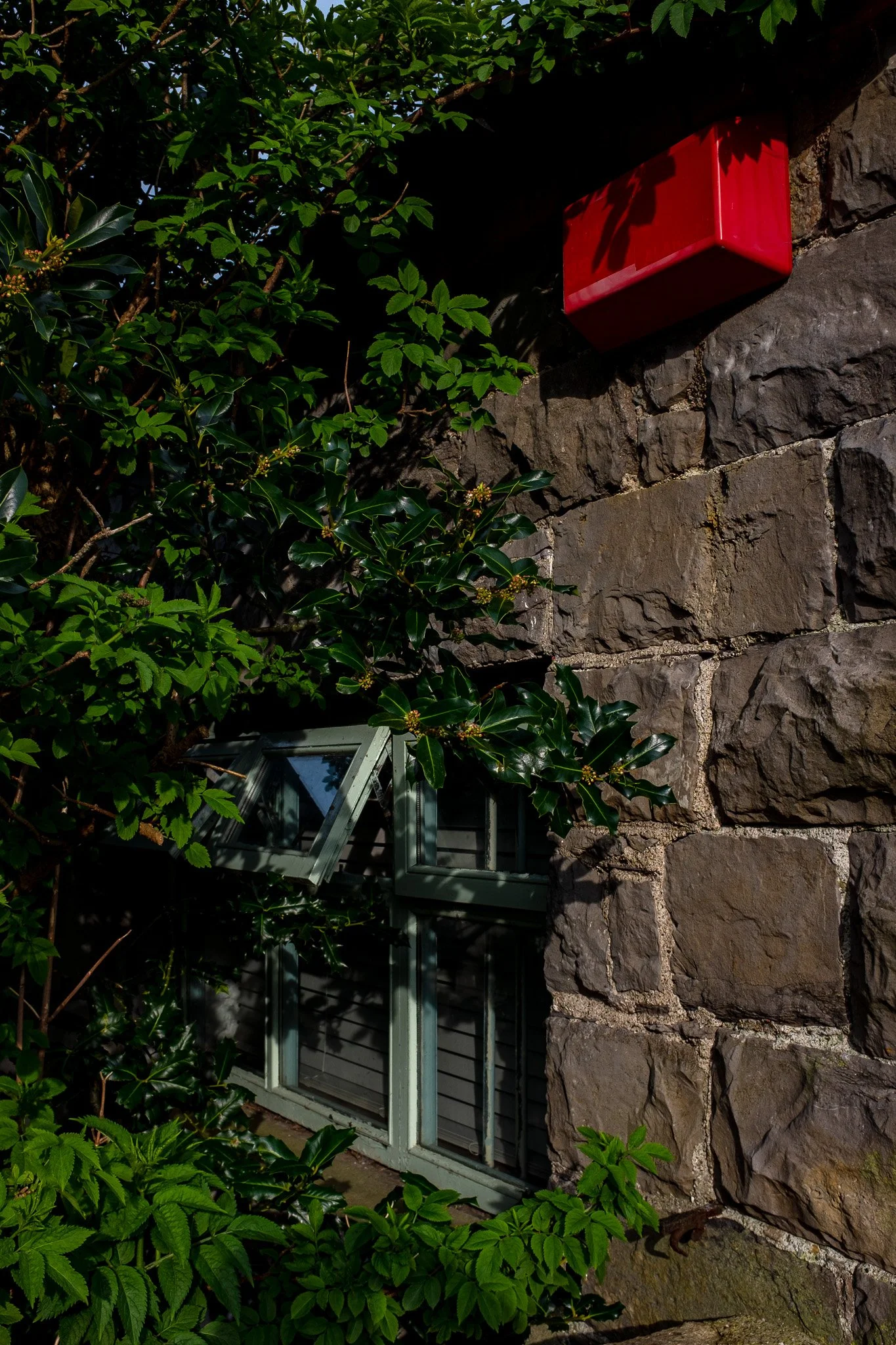 DSCF5043.jpg