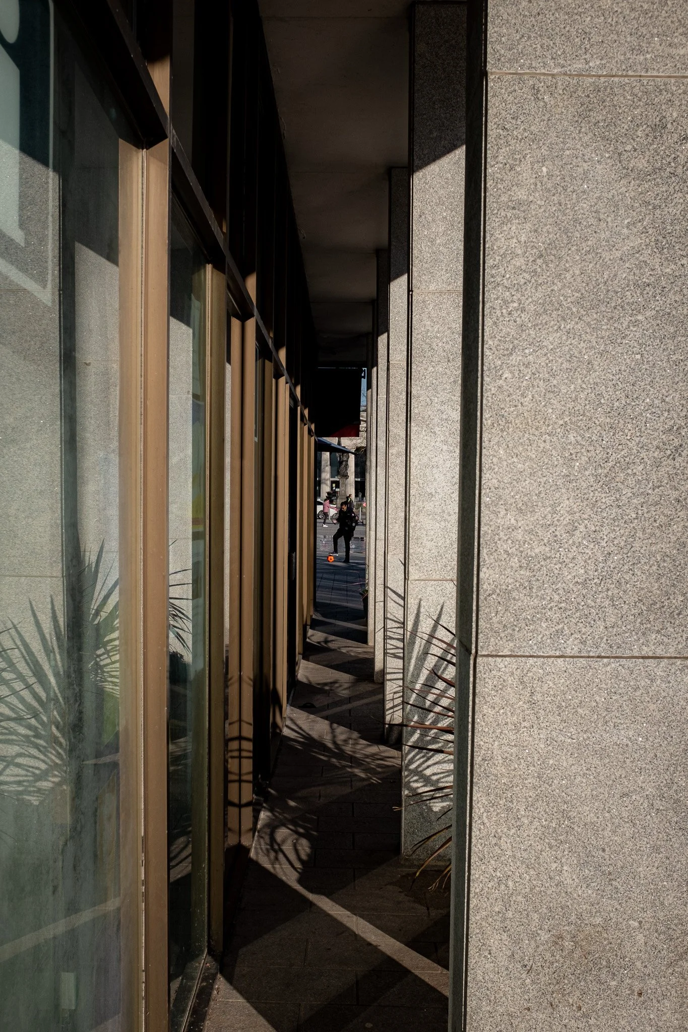 DSCF4548.jpg