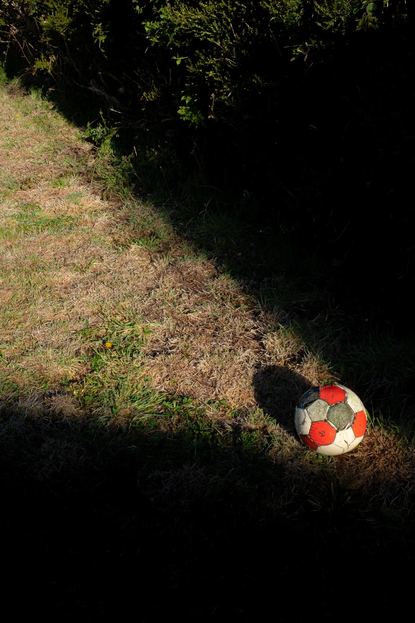 DSCF4915.jpg