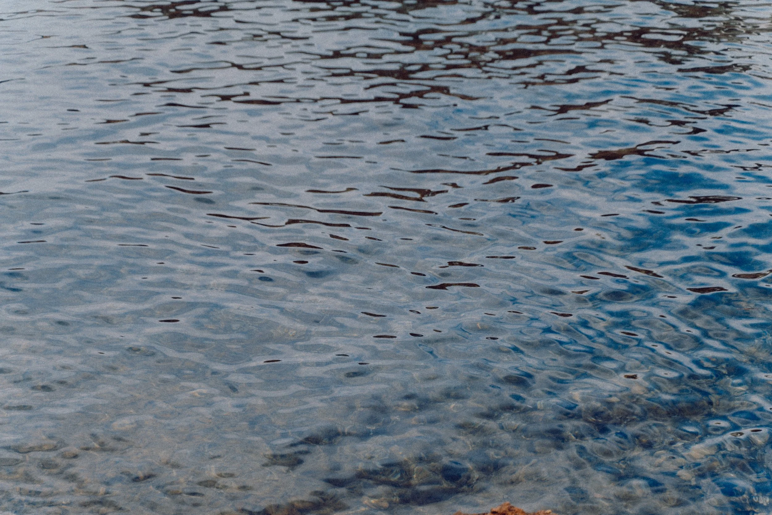 Somatic Shake - Water Element