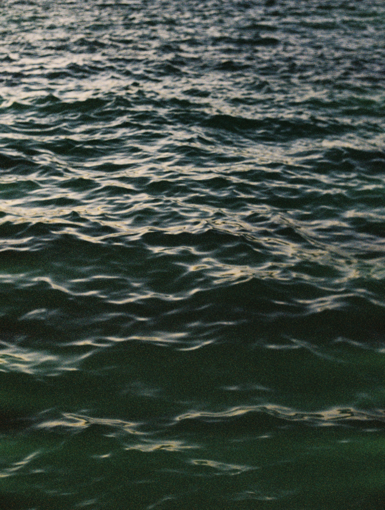 Somatic Shake - Water Element