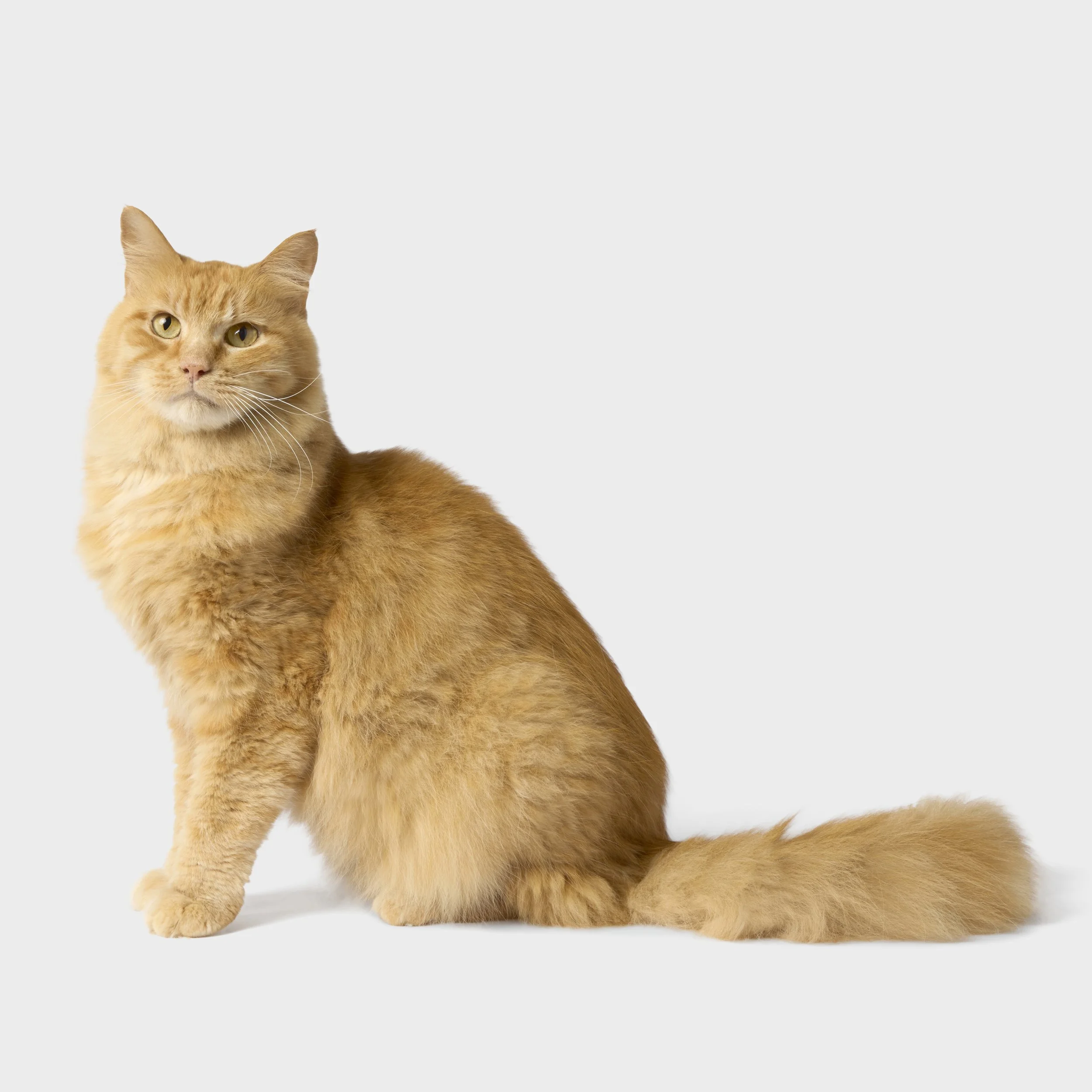 George_00126.jpg