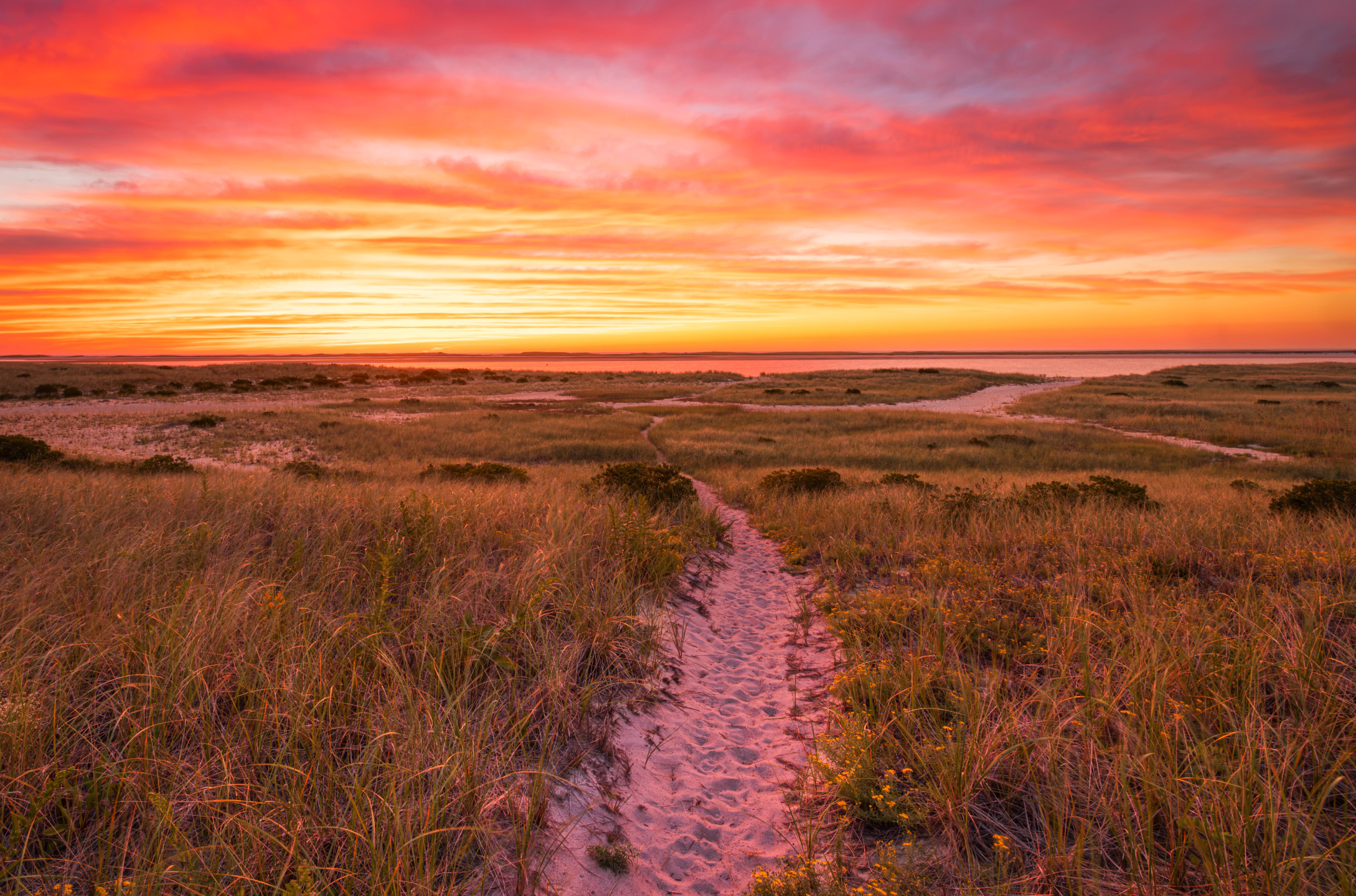 Lighthouse Beach at Sunrise
Chatham