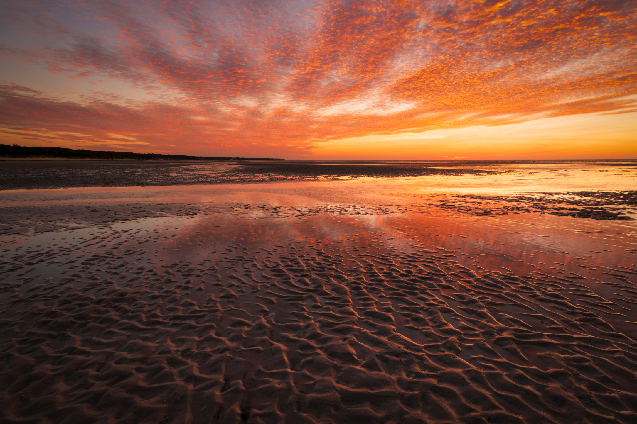 Brewster Flats Low Tide Sunset
Orleans
