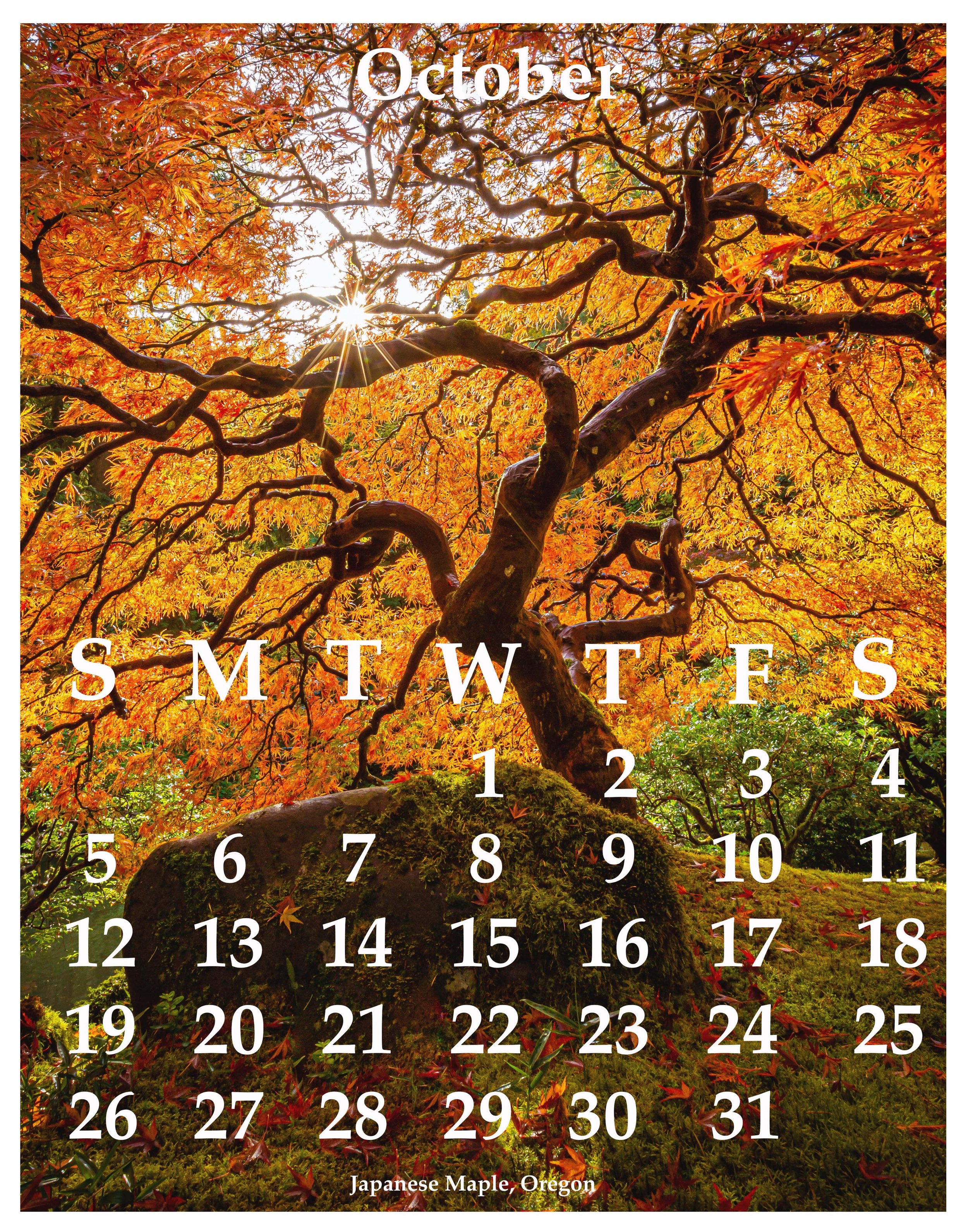 10October2025.jpg