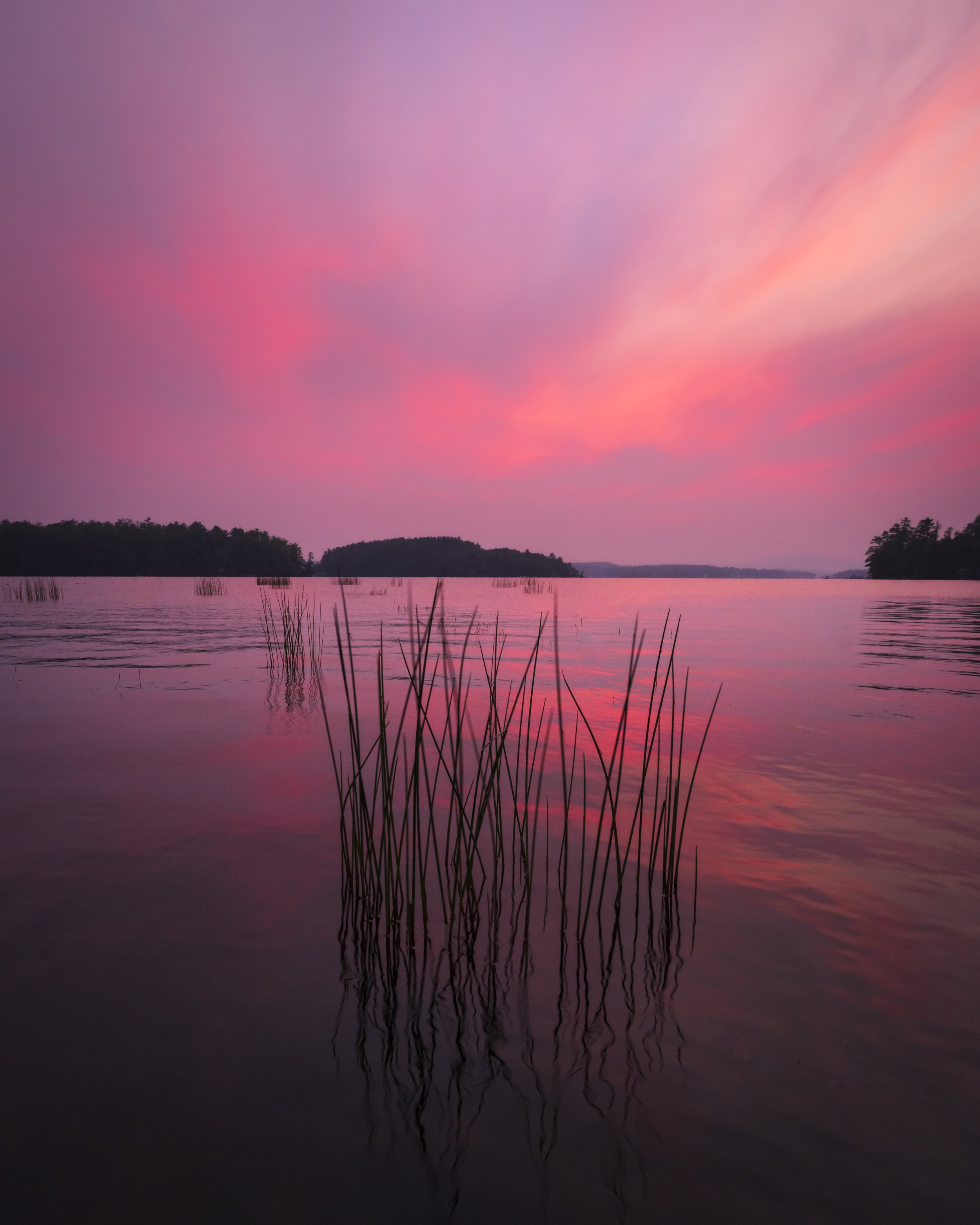 Grassy Sunset in Tuftonboro.jpg