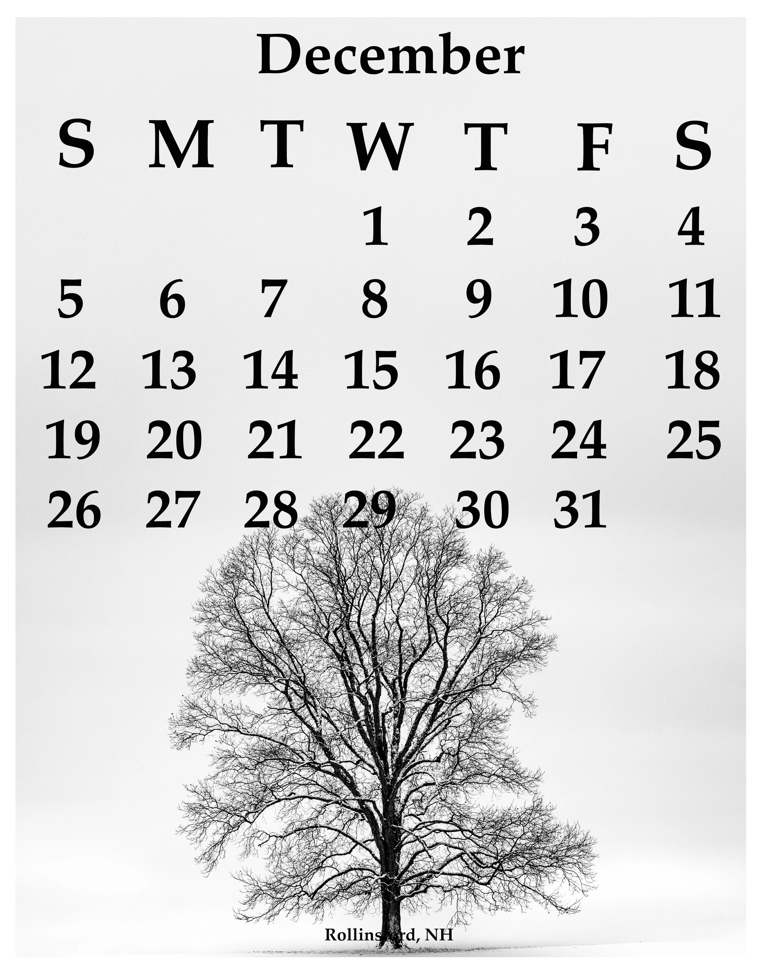 12Dec2027.jpg