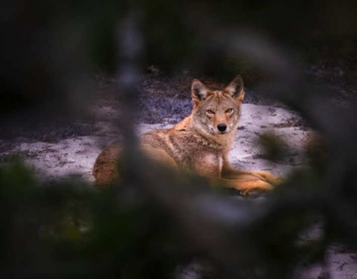 Screenshot 2025-11-11 at 9.25.35 AM.png