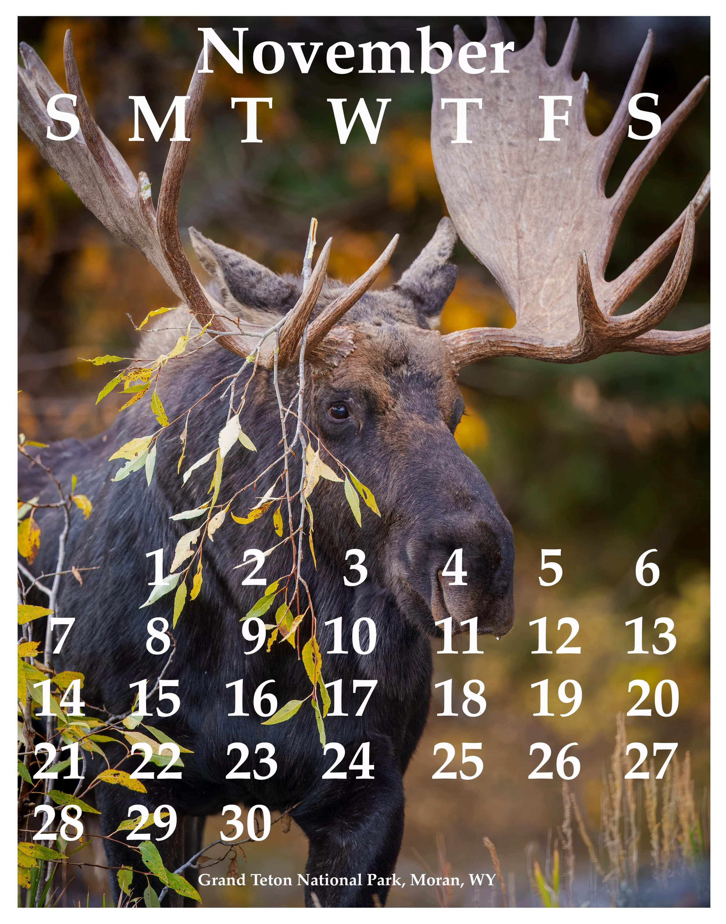 11Nov2027.jpg
