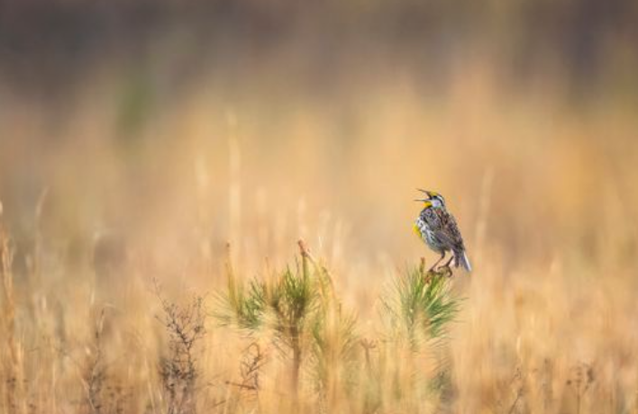 Screenshot 2025-11-11 at 8.51.01 AM.png