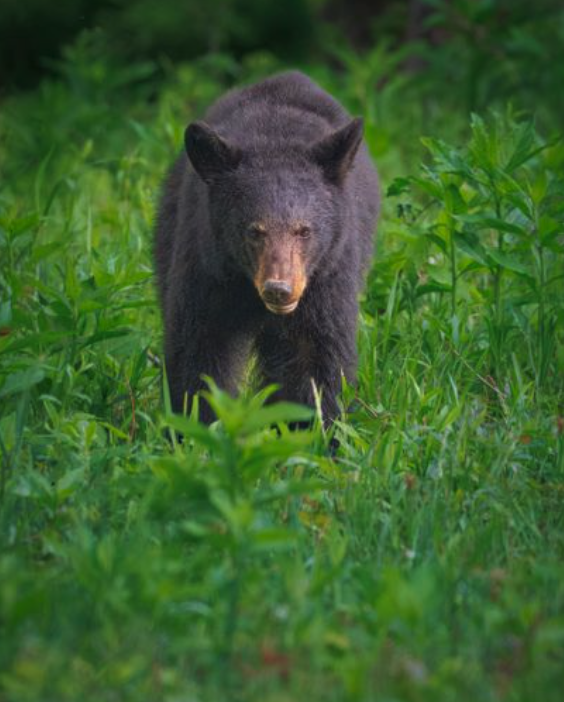 Screenshot 2025-11-11 at 8.51.19 AM.png