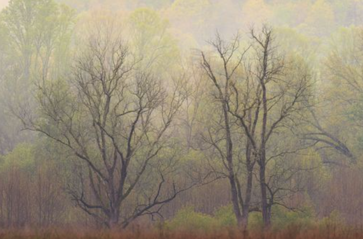 Screenshot 2025-11-11 at 8.50.26 AM.png