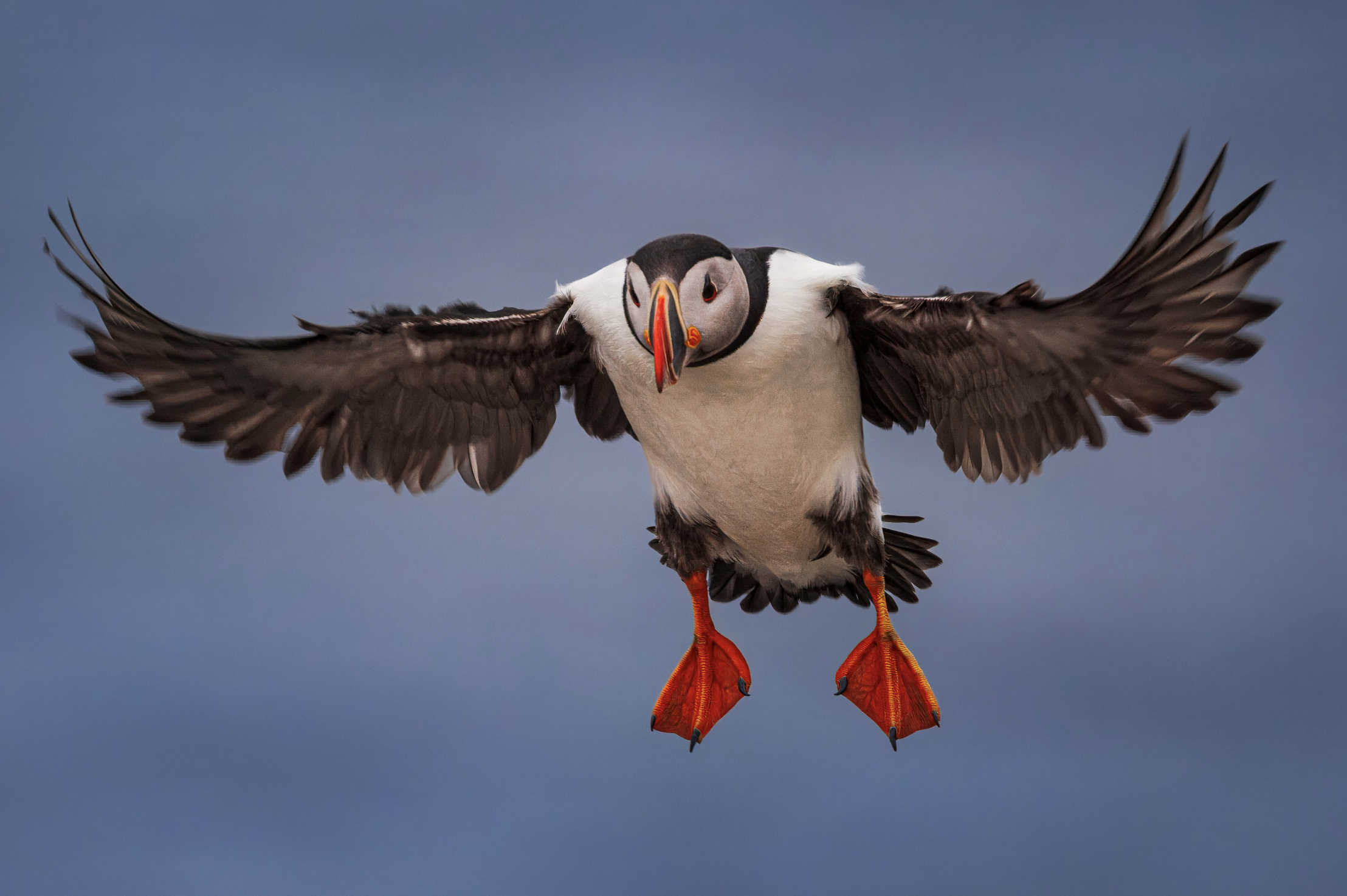 Screenshot 2025-07-14 at 7.41.55 AM.png