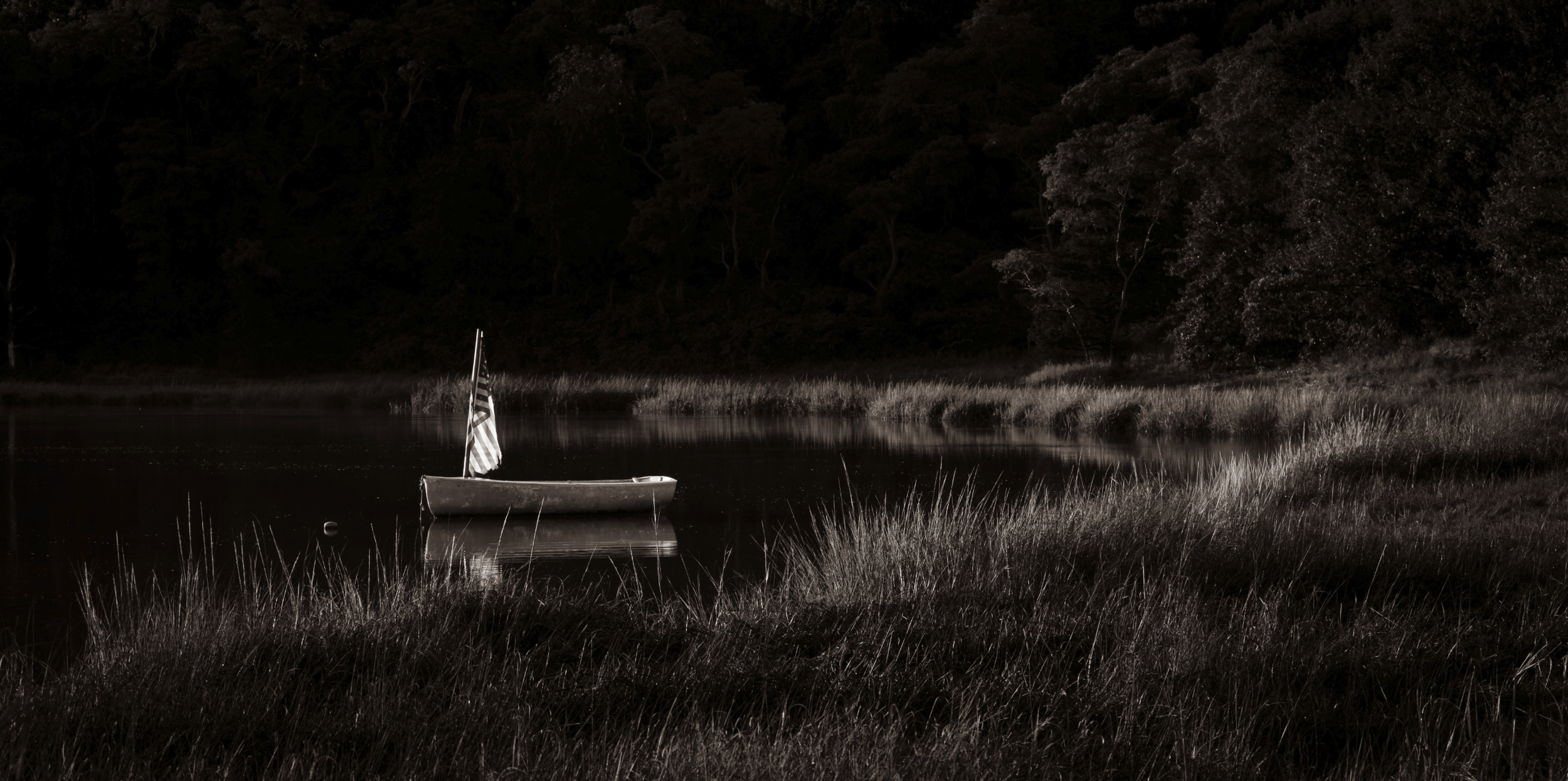 Salt Pond Patriot in Afternoon Light
Eastham