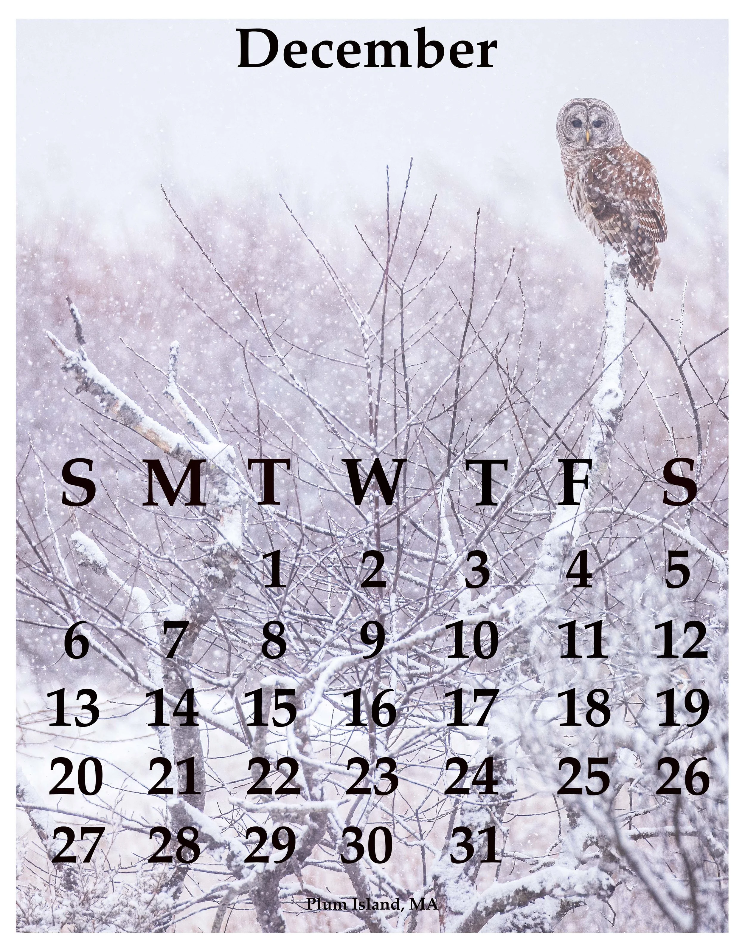 12Dec2026.jpg