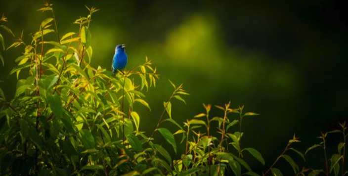 Screenshot 2025-11-11 at 8.51.09 AM.png