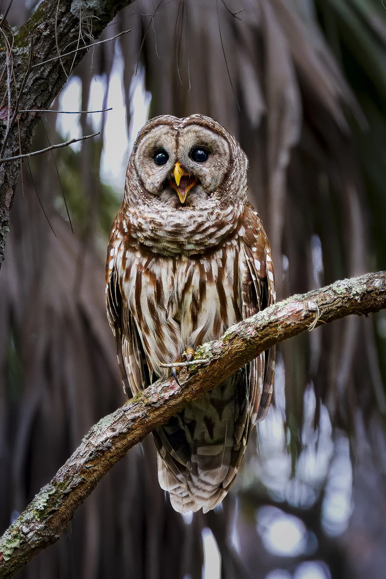 Florida BO Smiling.jpg